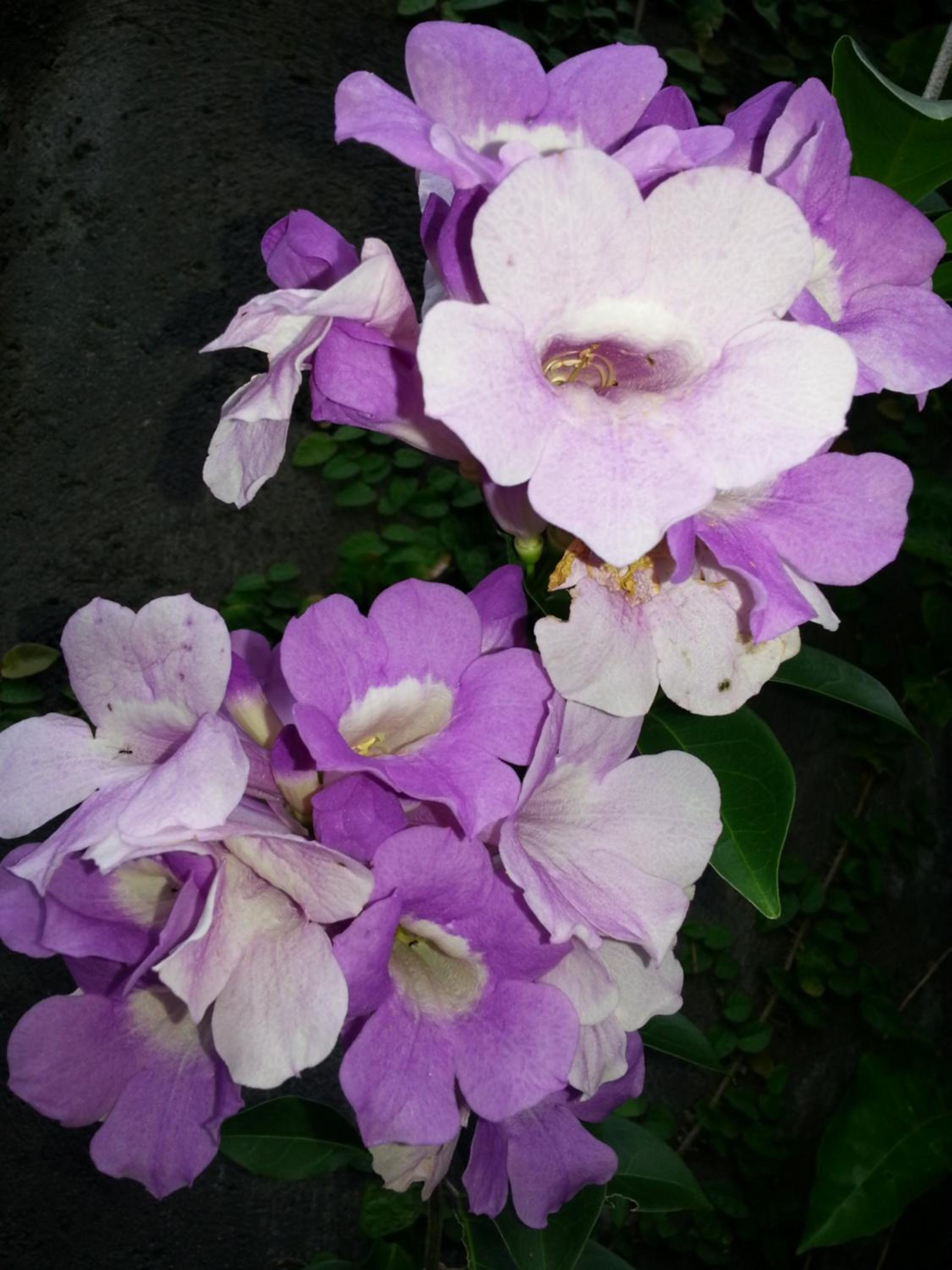 Photo 54