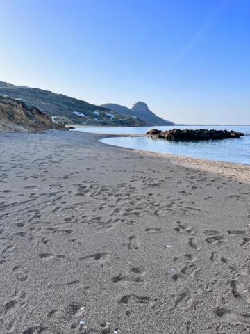 Xarites Skyros