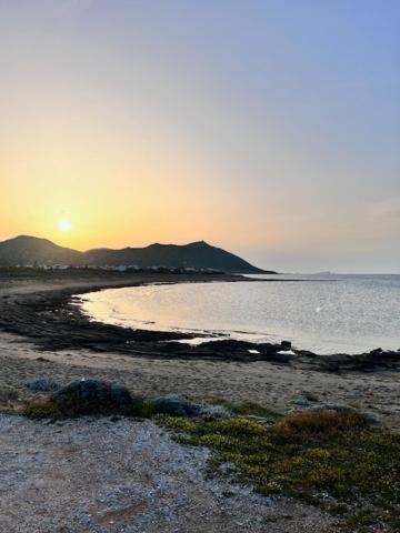 Xarites Skyros