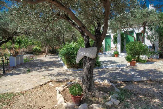 Xarites Skyros