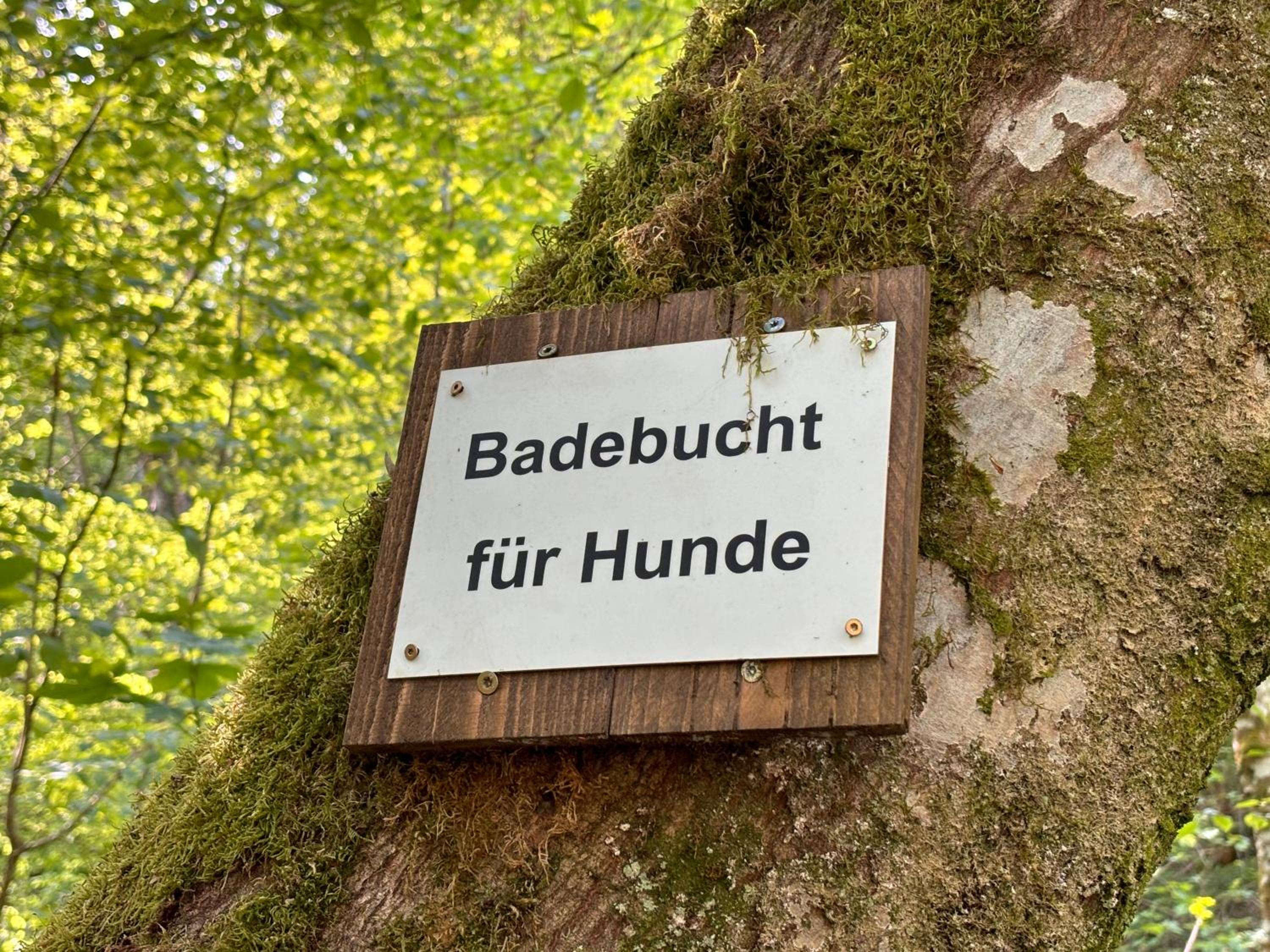 Plätzchen am Krebsberg für alle Fä(e)lle view 3