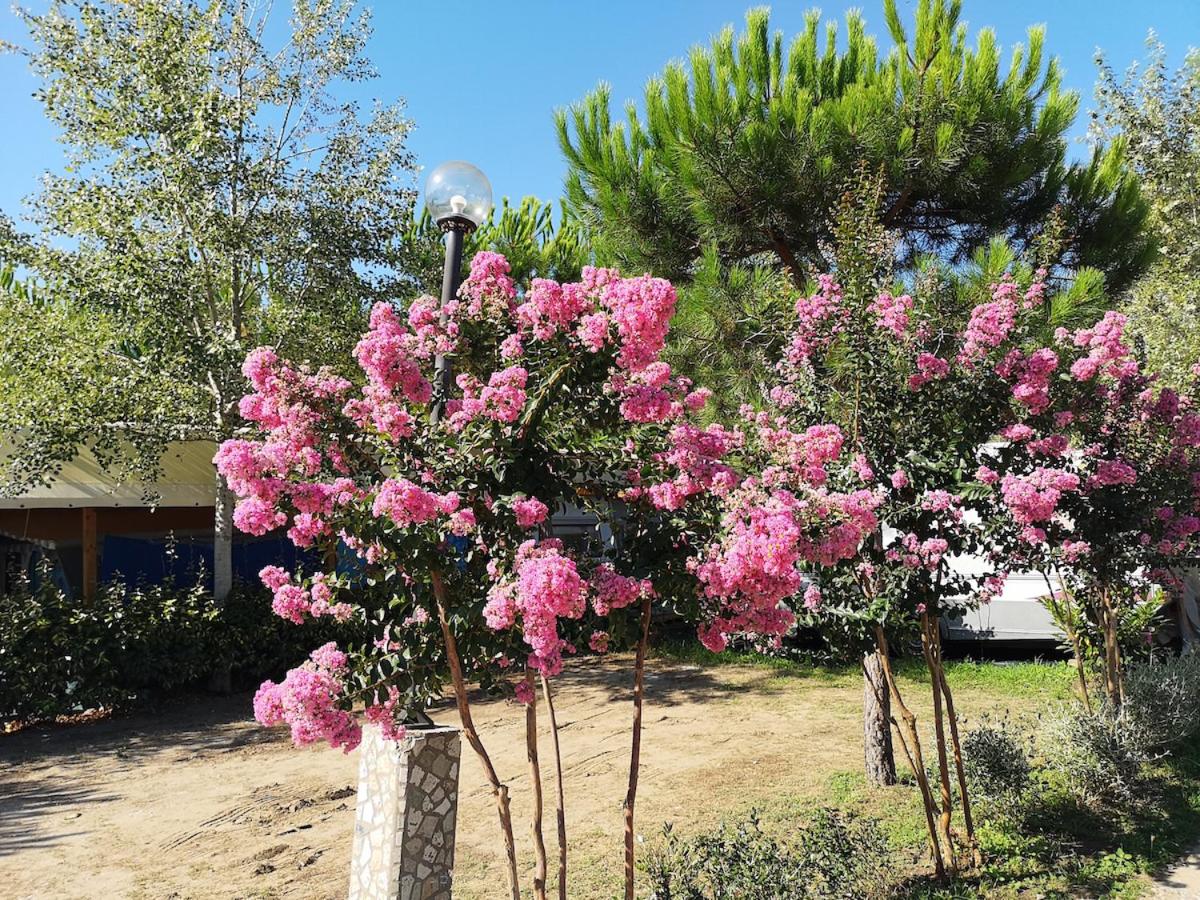 Viareggio Vacations - Mobile home Viareggio - Camping Paradiso- Including airco -Zona Gialla 016 - Property Image 22