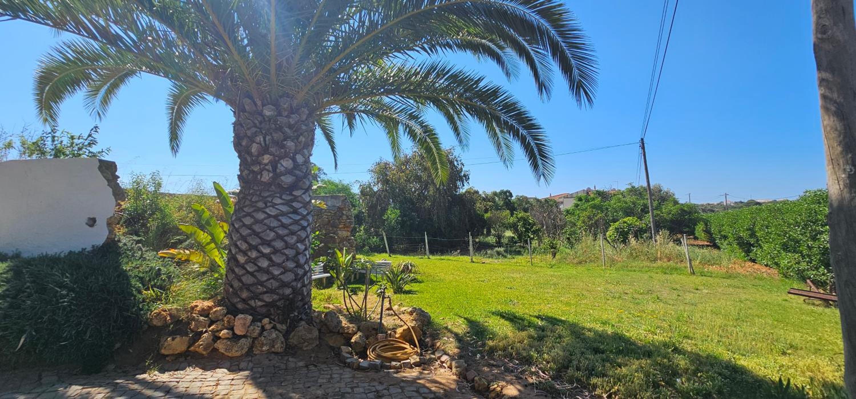 Cozy & Traditional Country House in Albufeira, Foto 87