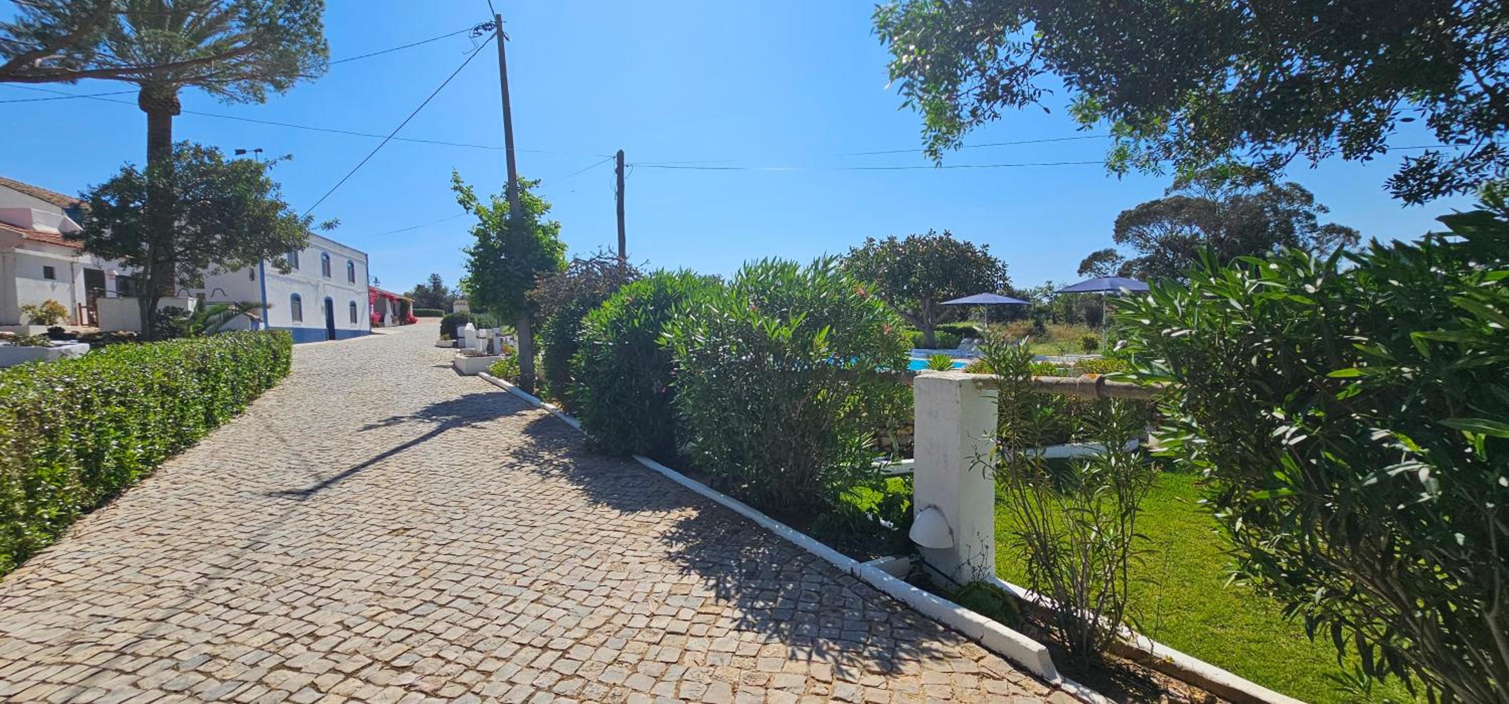Cozy & Traditional Country House in Albufeira, Foto 18