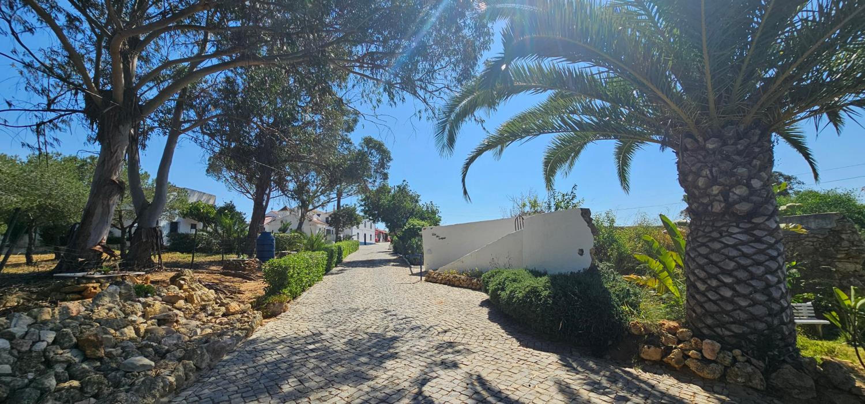 Cozy & Traditional Country House in Albufeira, Foto 21