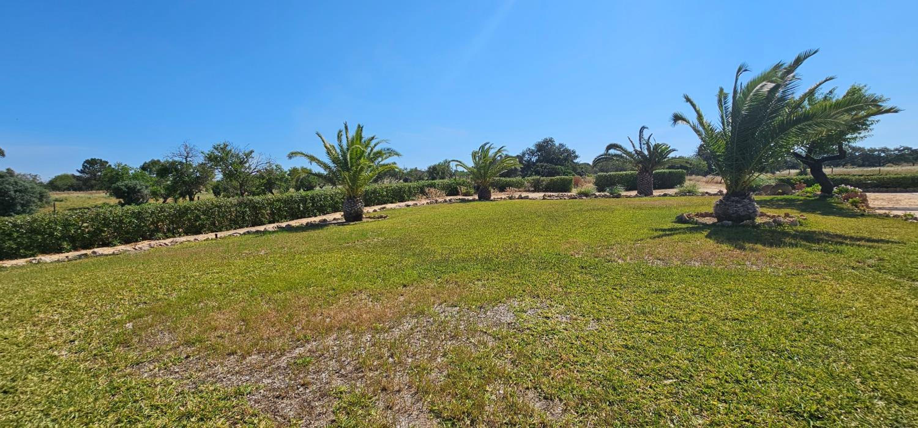 Cozy & Traditional Country House in Albufeira, Foto 105