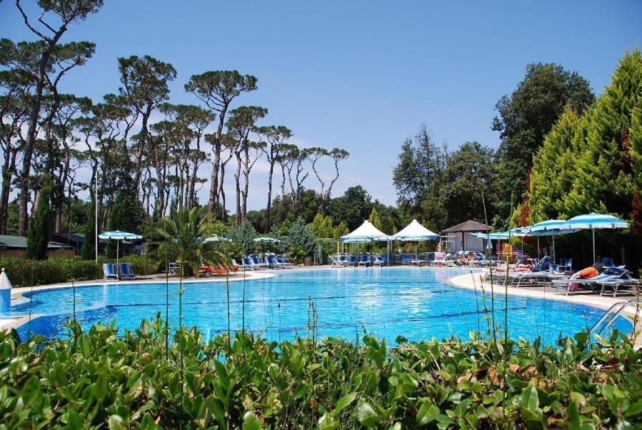 Viareggio Vacations - Mobile home Viareggio - Camping Paradiso- Including airco -Zona Gialla 016 - Property Image 29