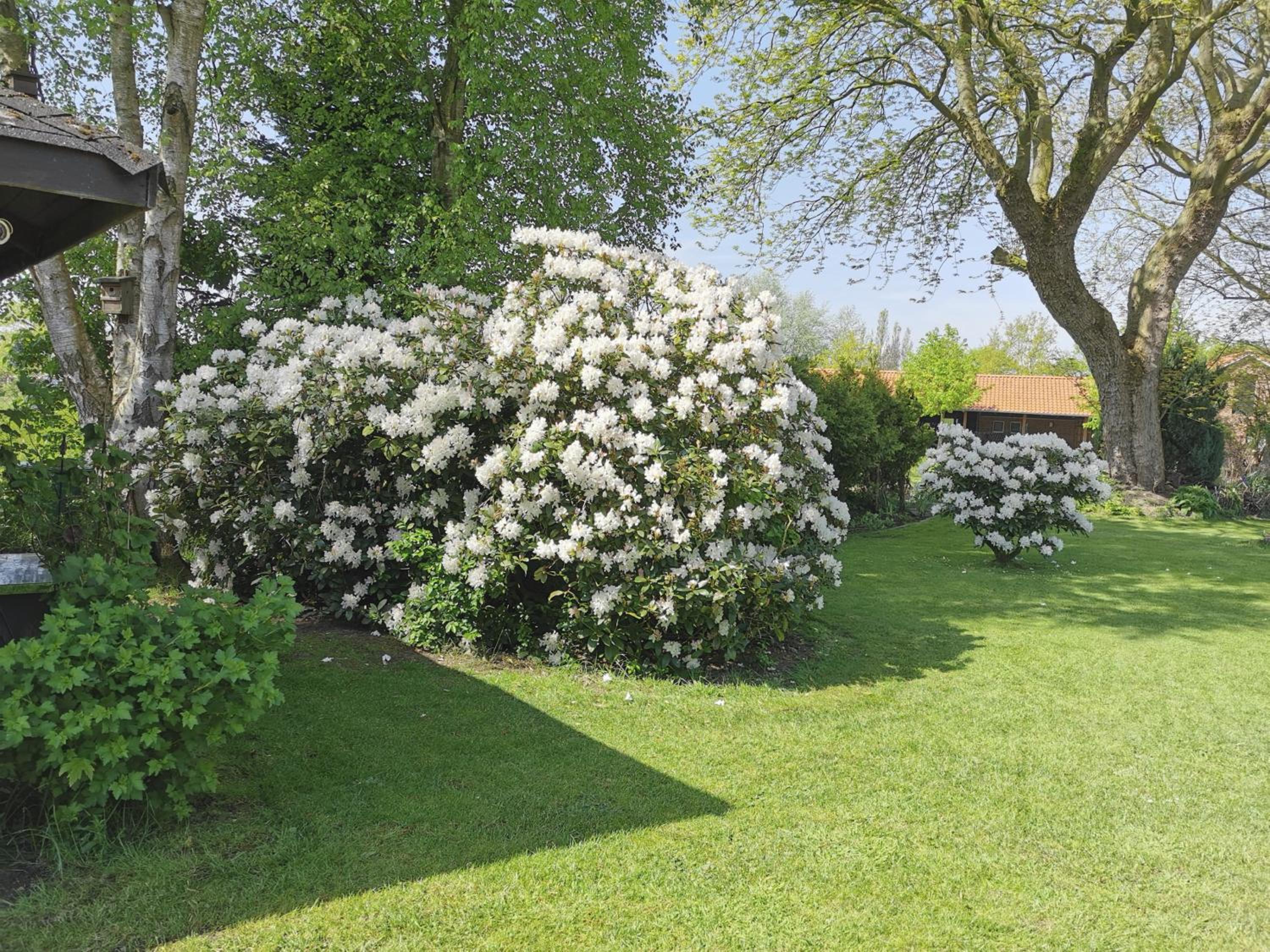 Ferienwohnung 1 Nordsee Gulfhof Dornum - mit großem Garten