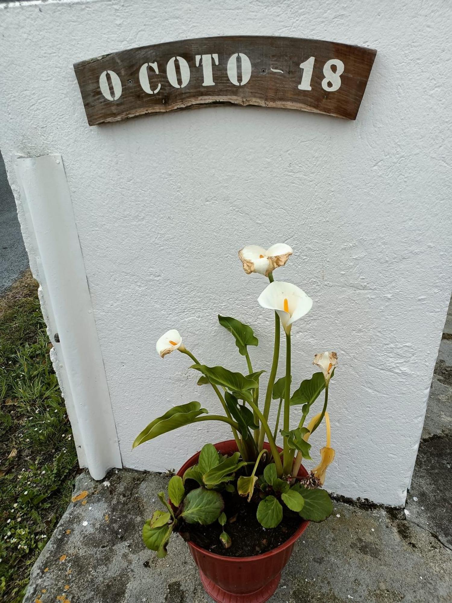 Casa Pancha