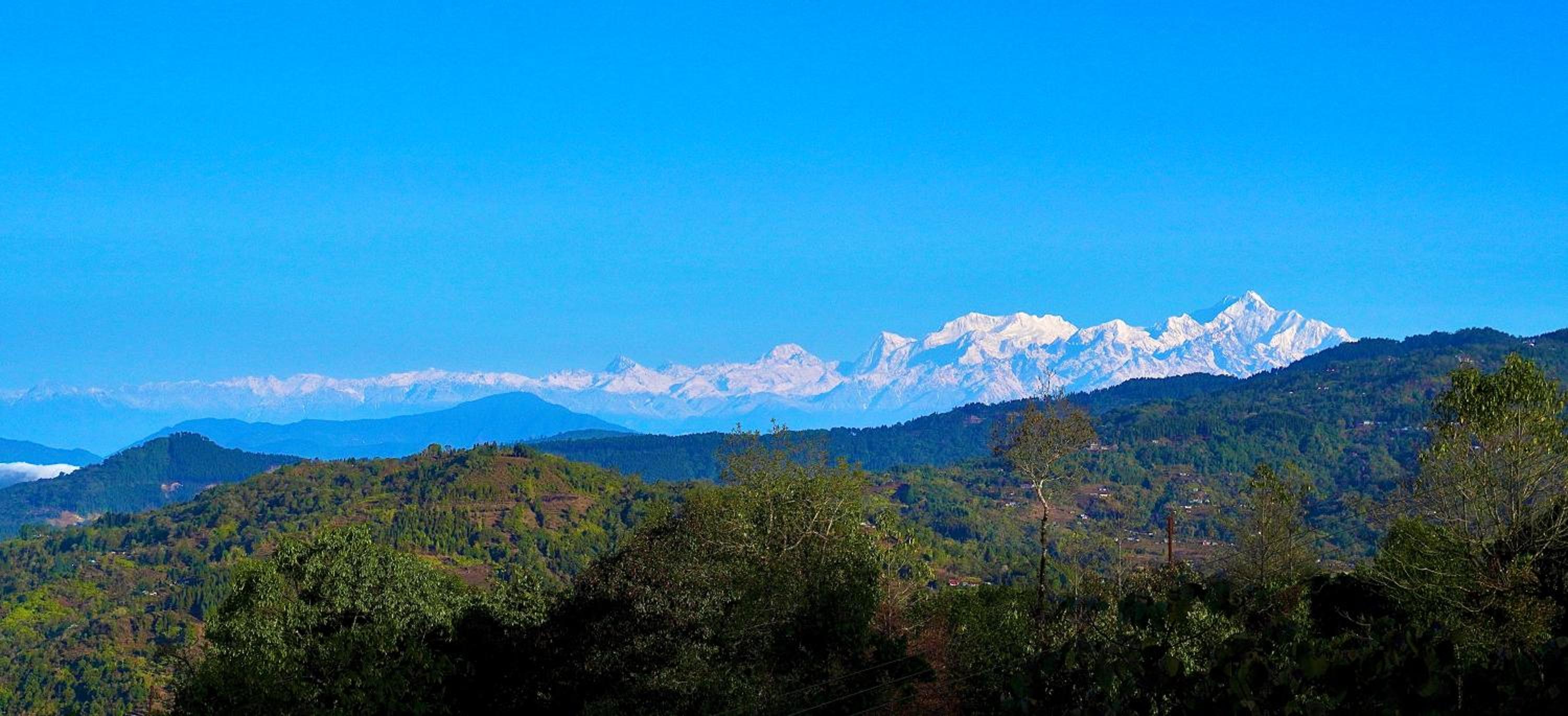 Sherpa Homestay