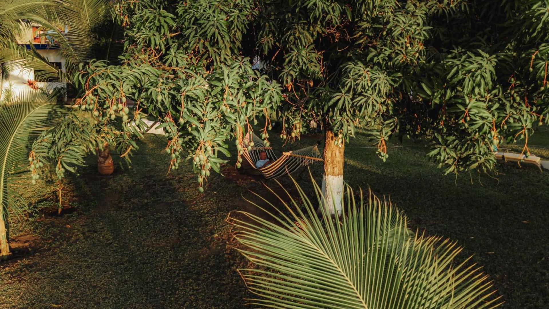 Hacienda Gonzalez Beach Getaway