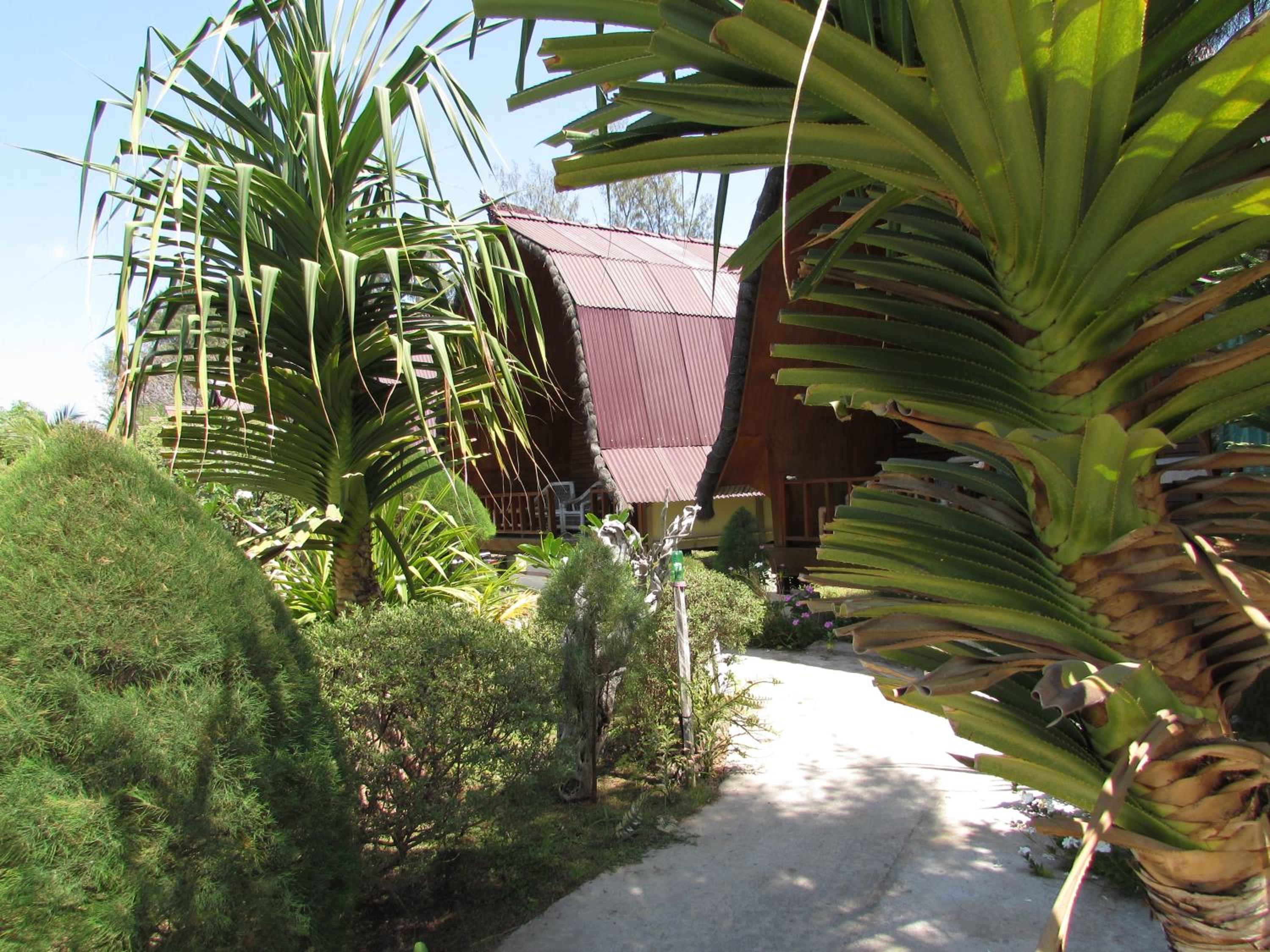 Photo 15