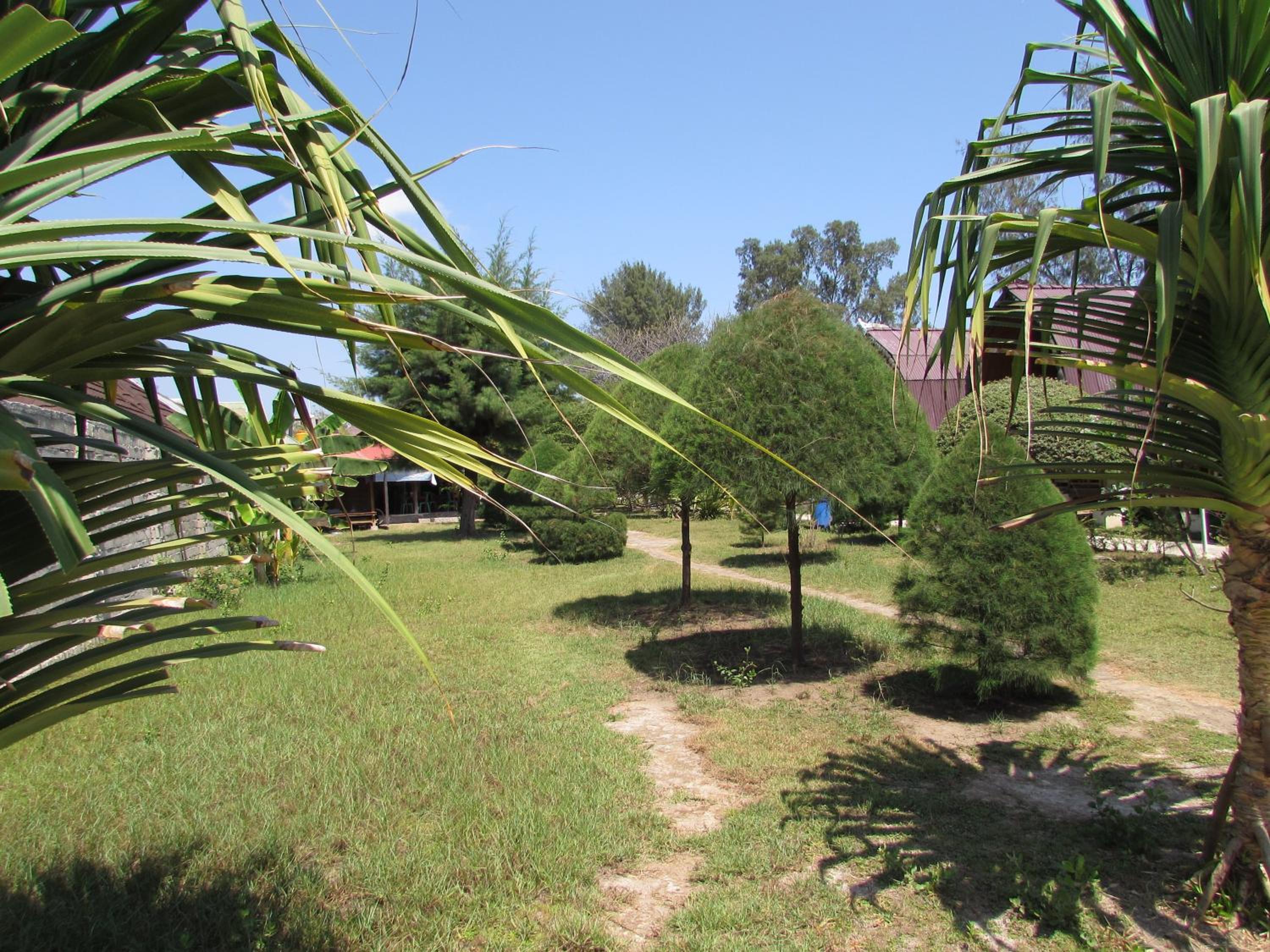 Photo 16