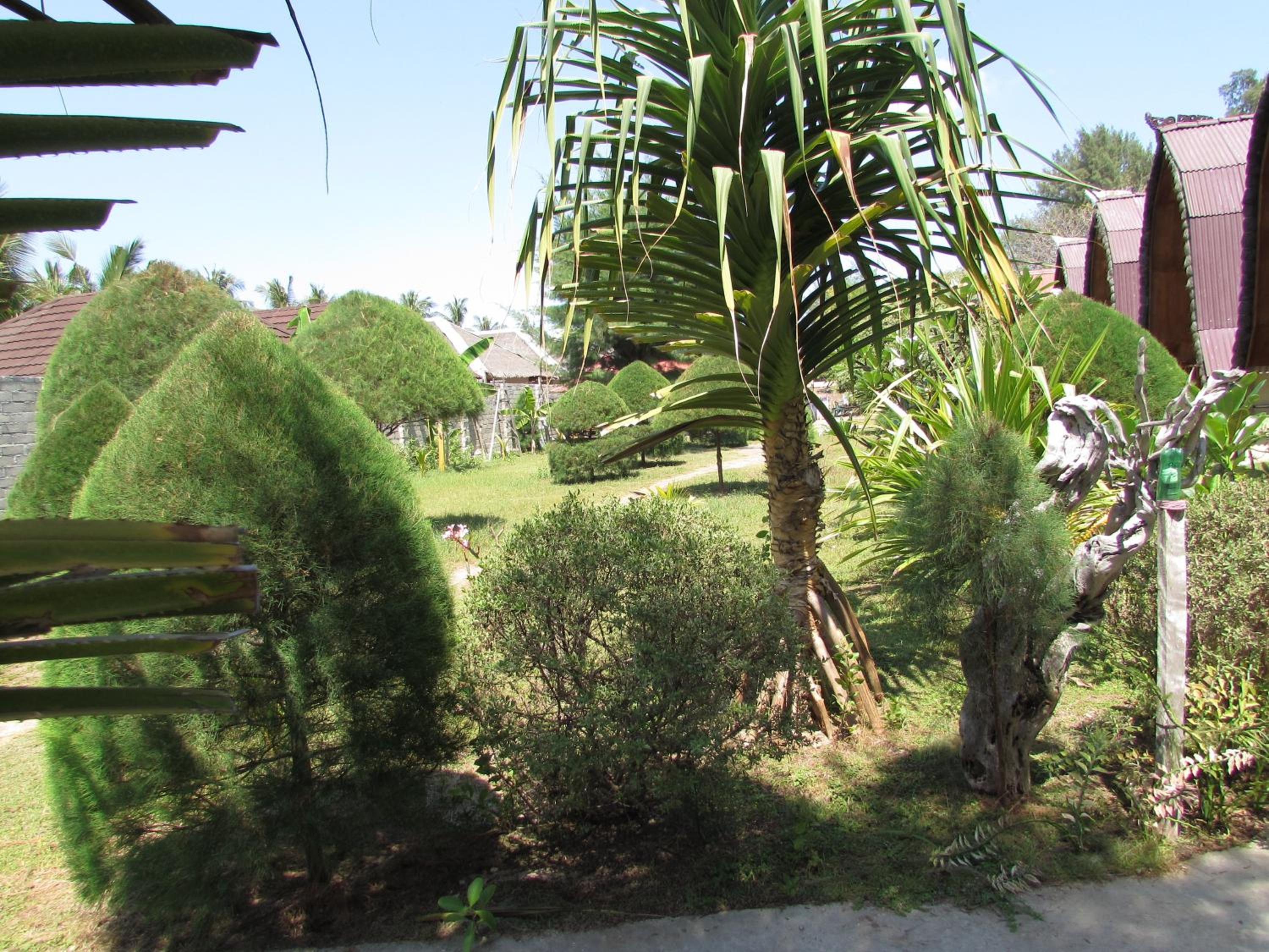 Photo 11