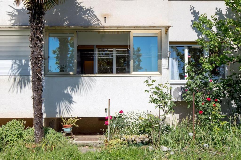 Apartman Teta Anka