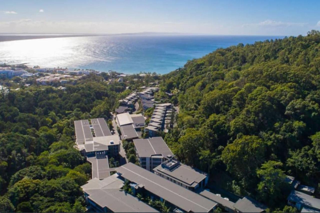 Treetop luxury