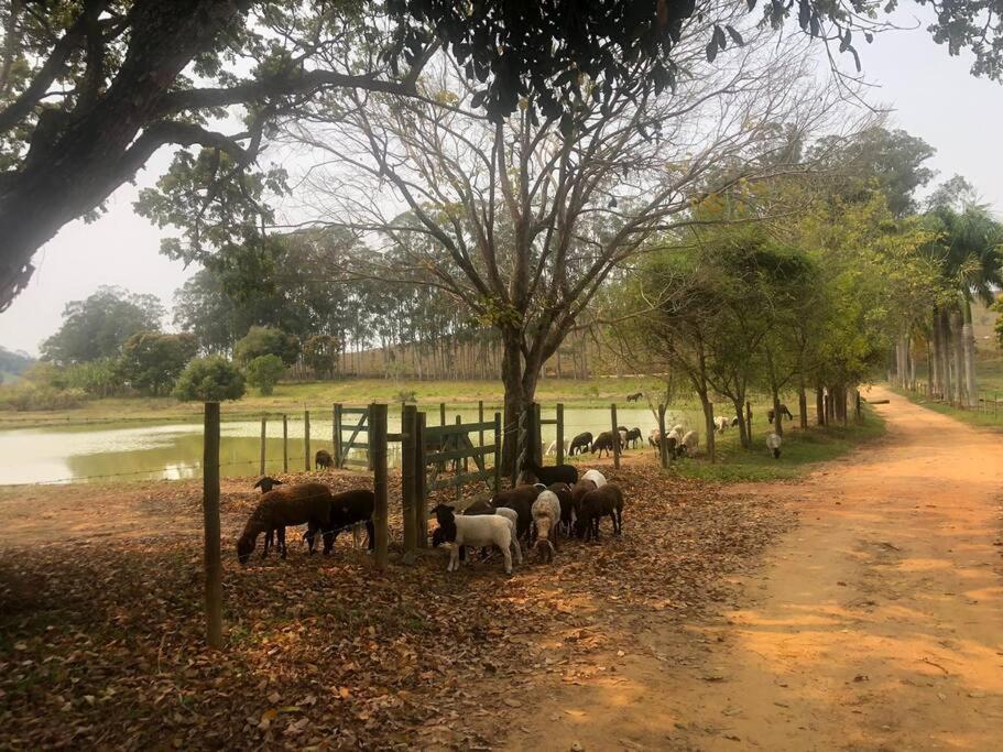 Hospedaria Nova Era