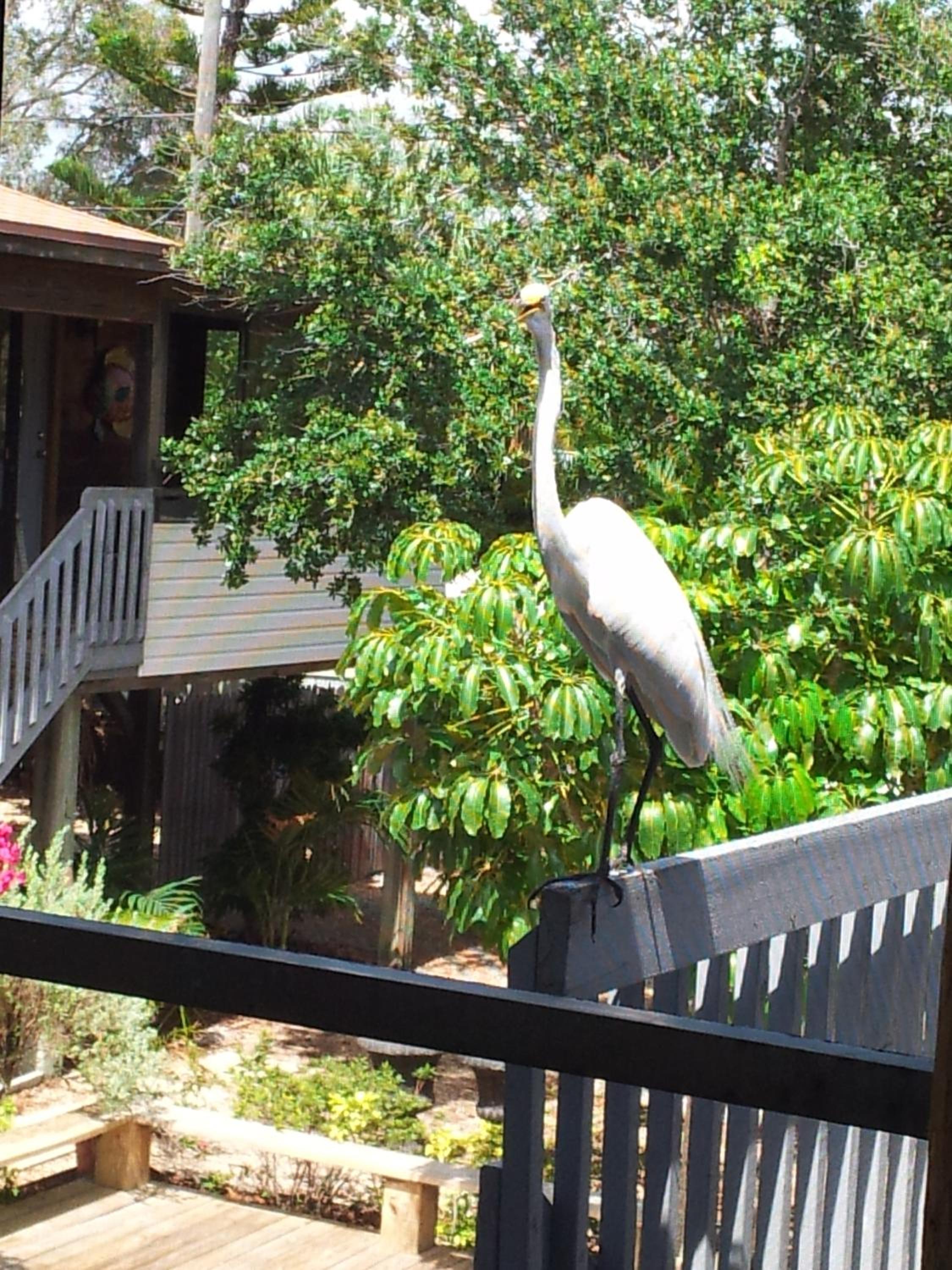 El Palmar Cottages LLC Whole House view 4