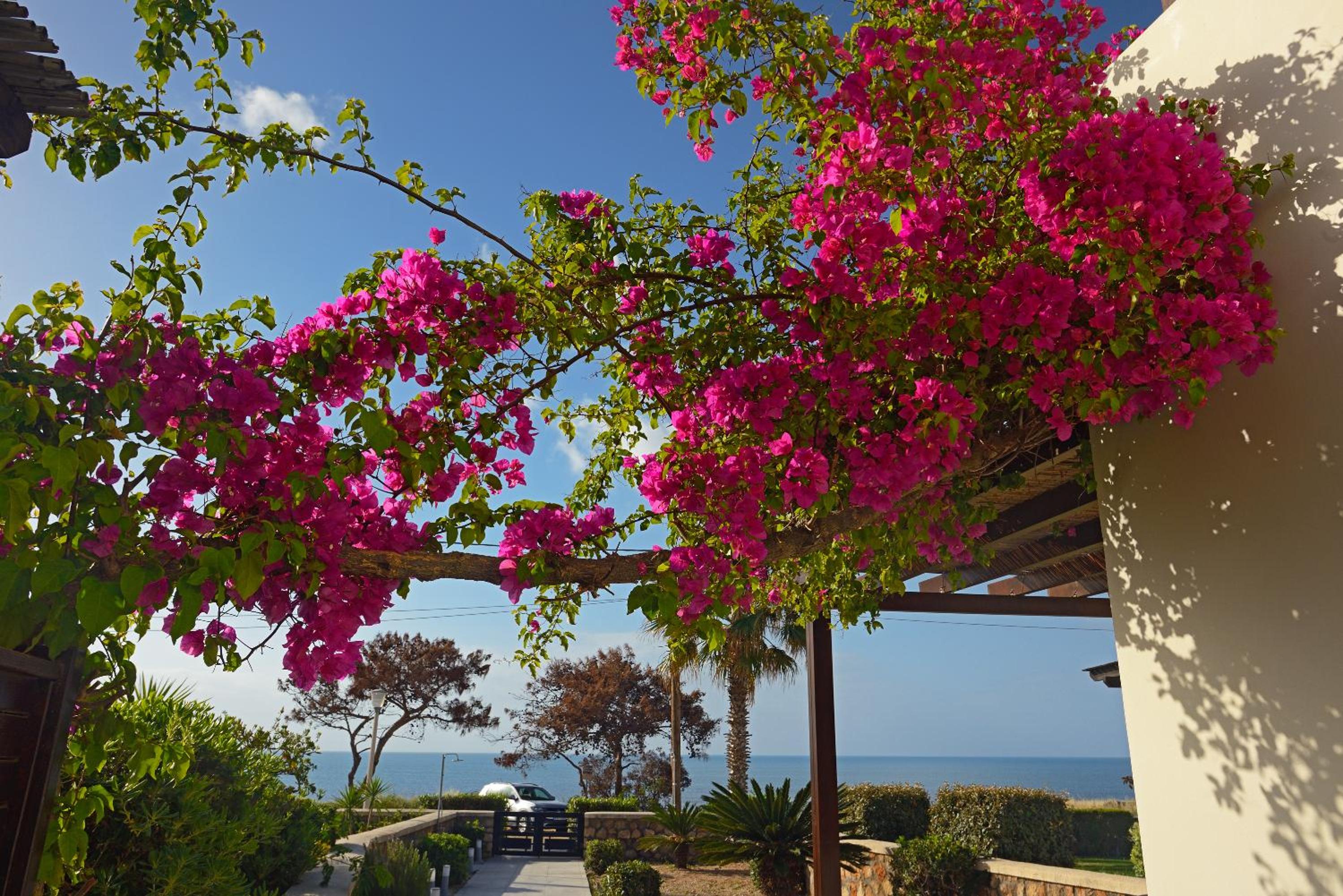 Villa Sunrise by the Sea
