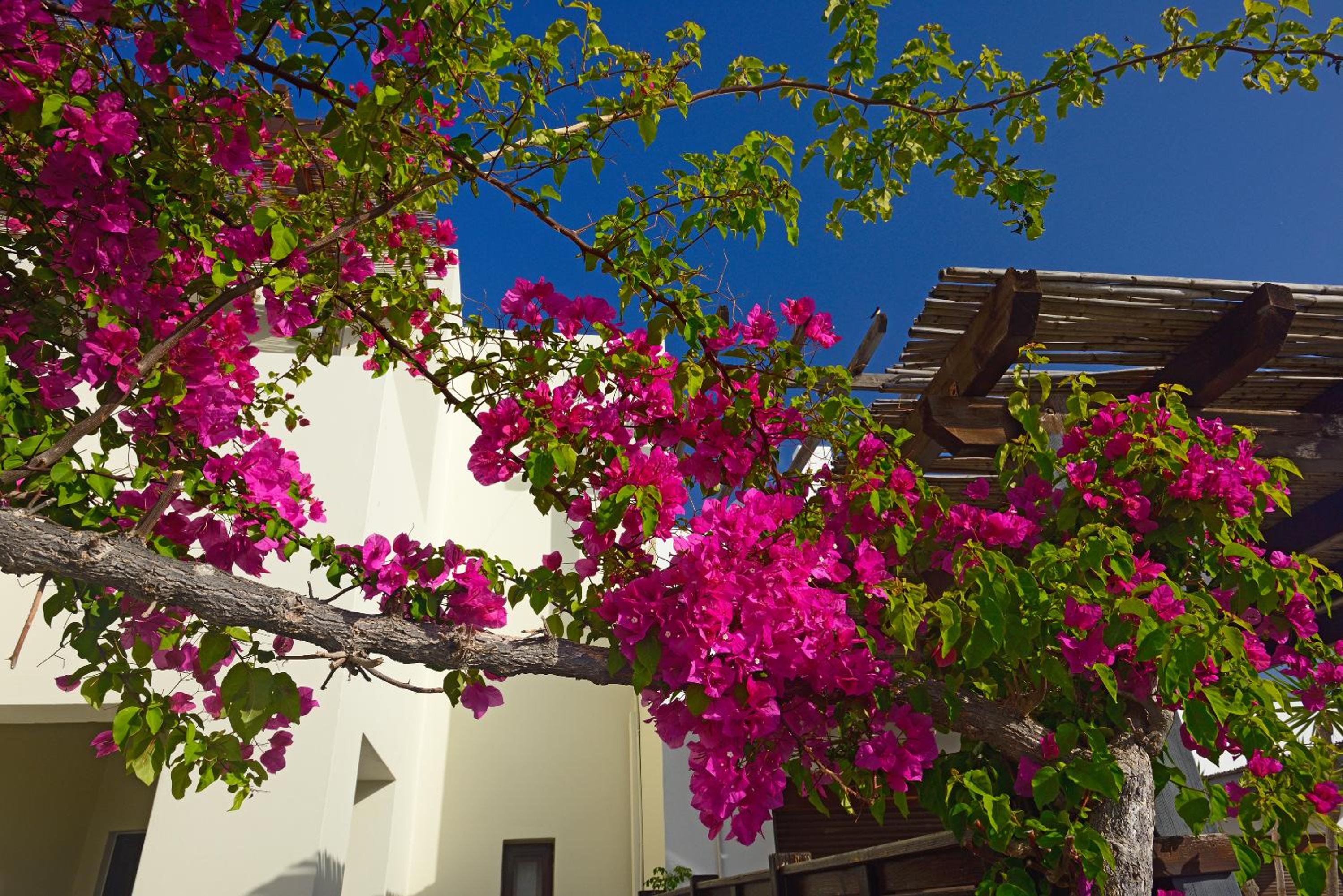 Villa Sunrise by the Sea