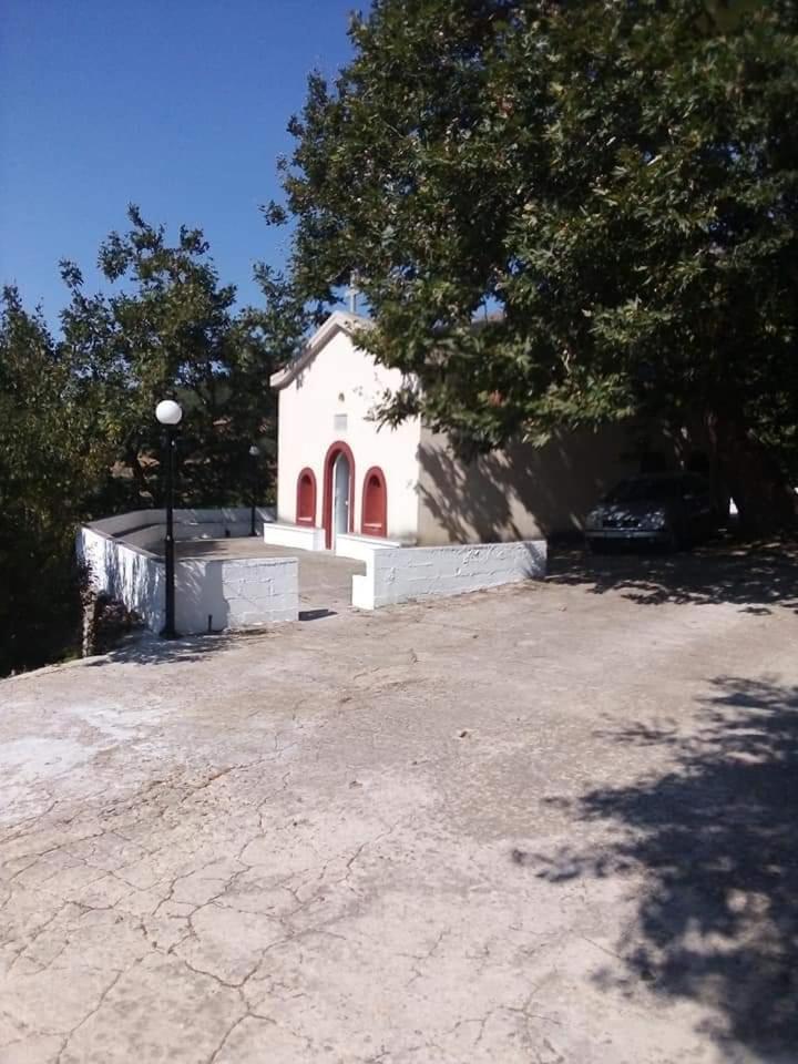 Aiolida