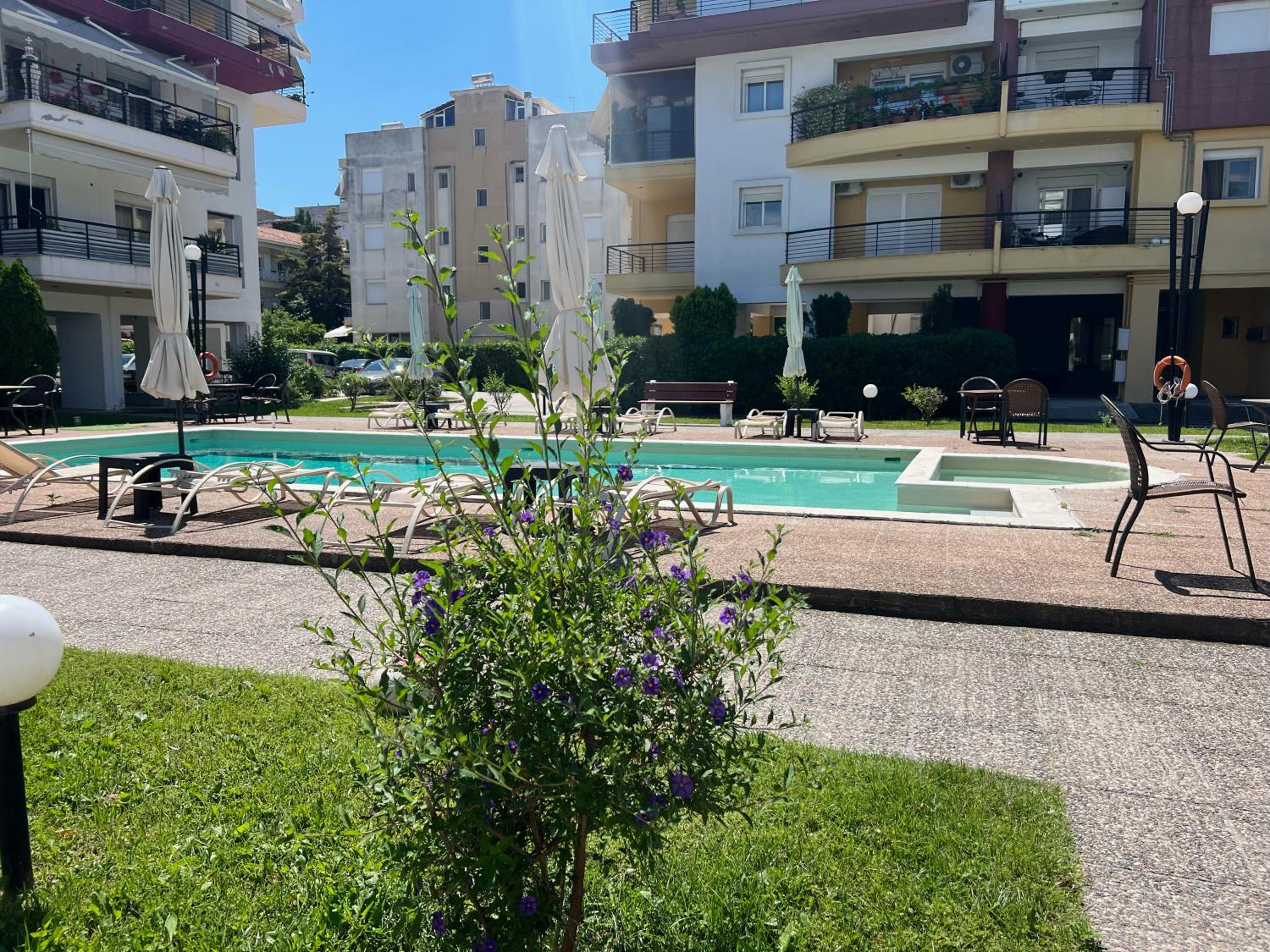 Damian's Cozy Pool Apartment photo 5