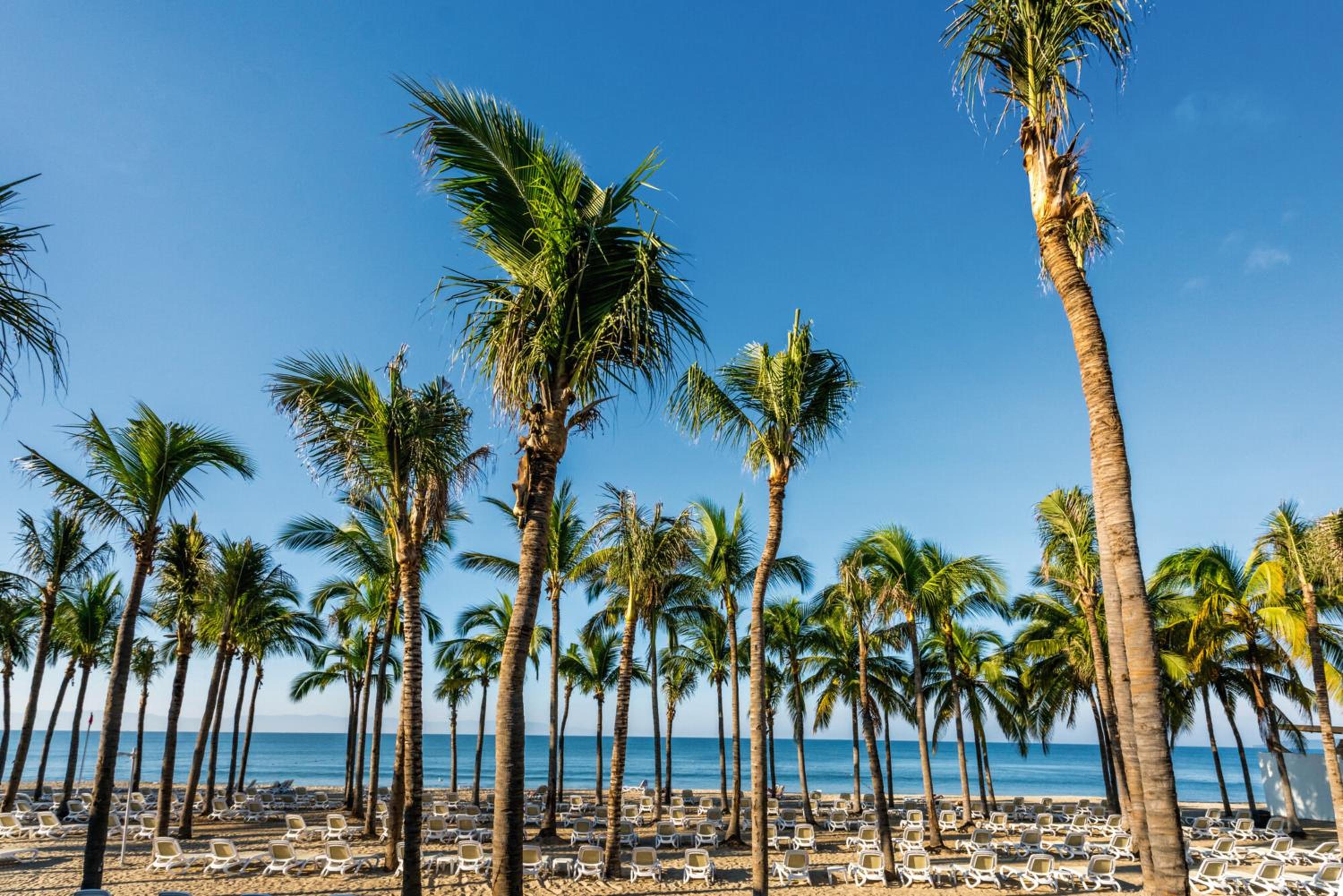 Riu Vallarta - All Inclusive, photo 24