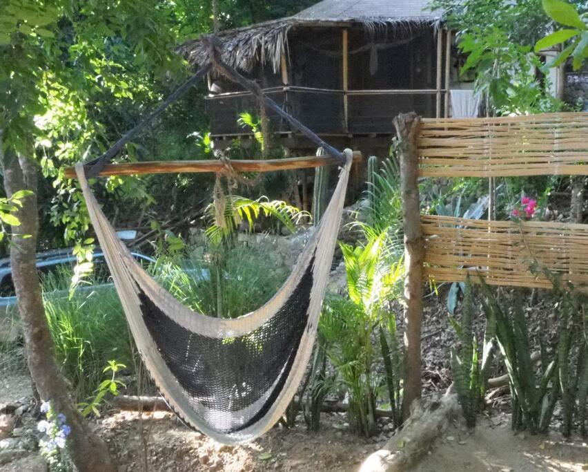 Charming Casa Pacifico with AC, Starlink and Great Location view 3