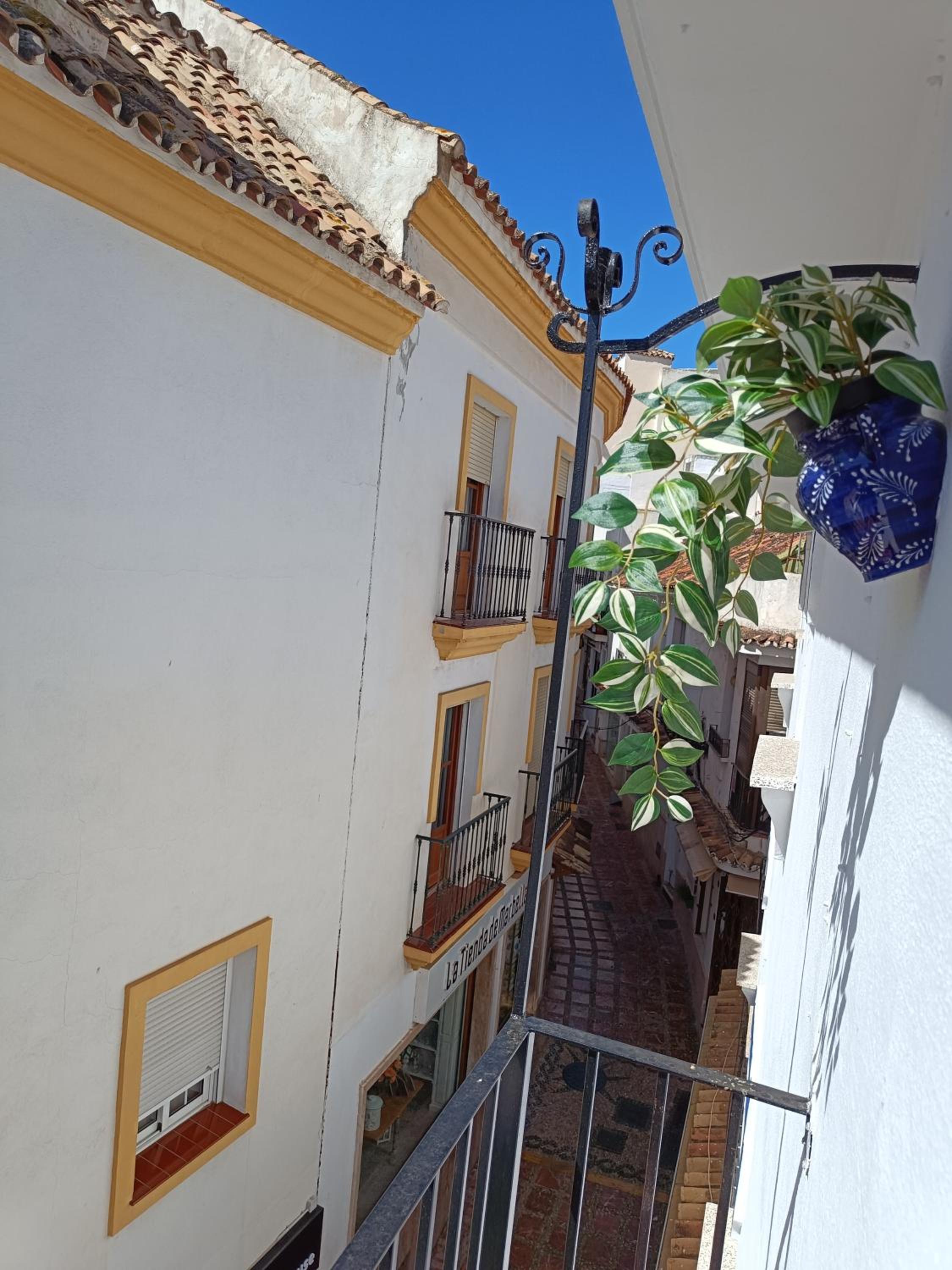 Acogedor apt en casco historico