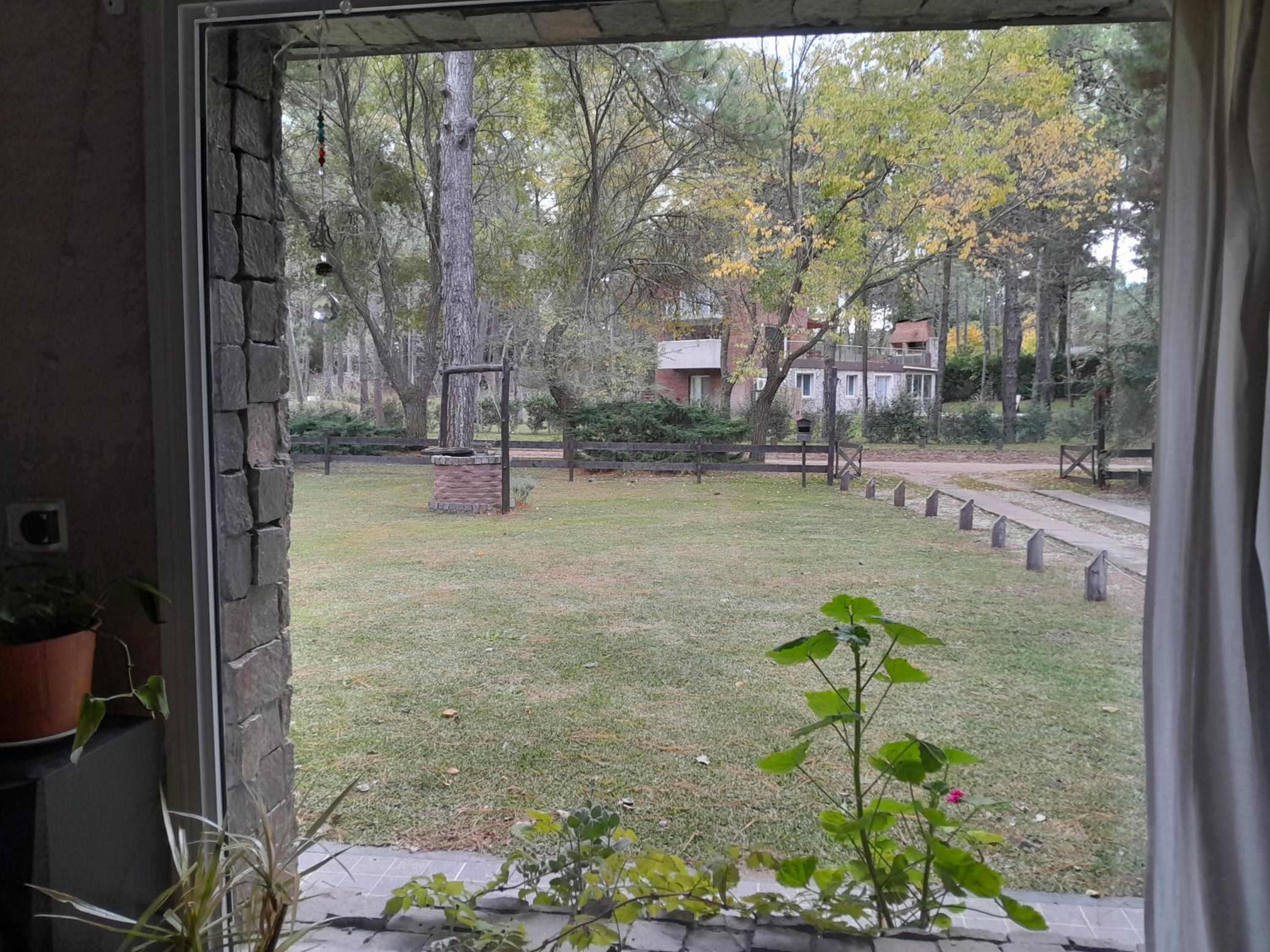 Paraíso Aquí y ahora