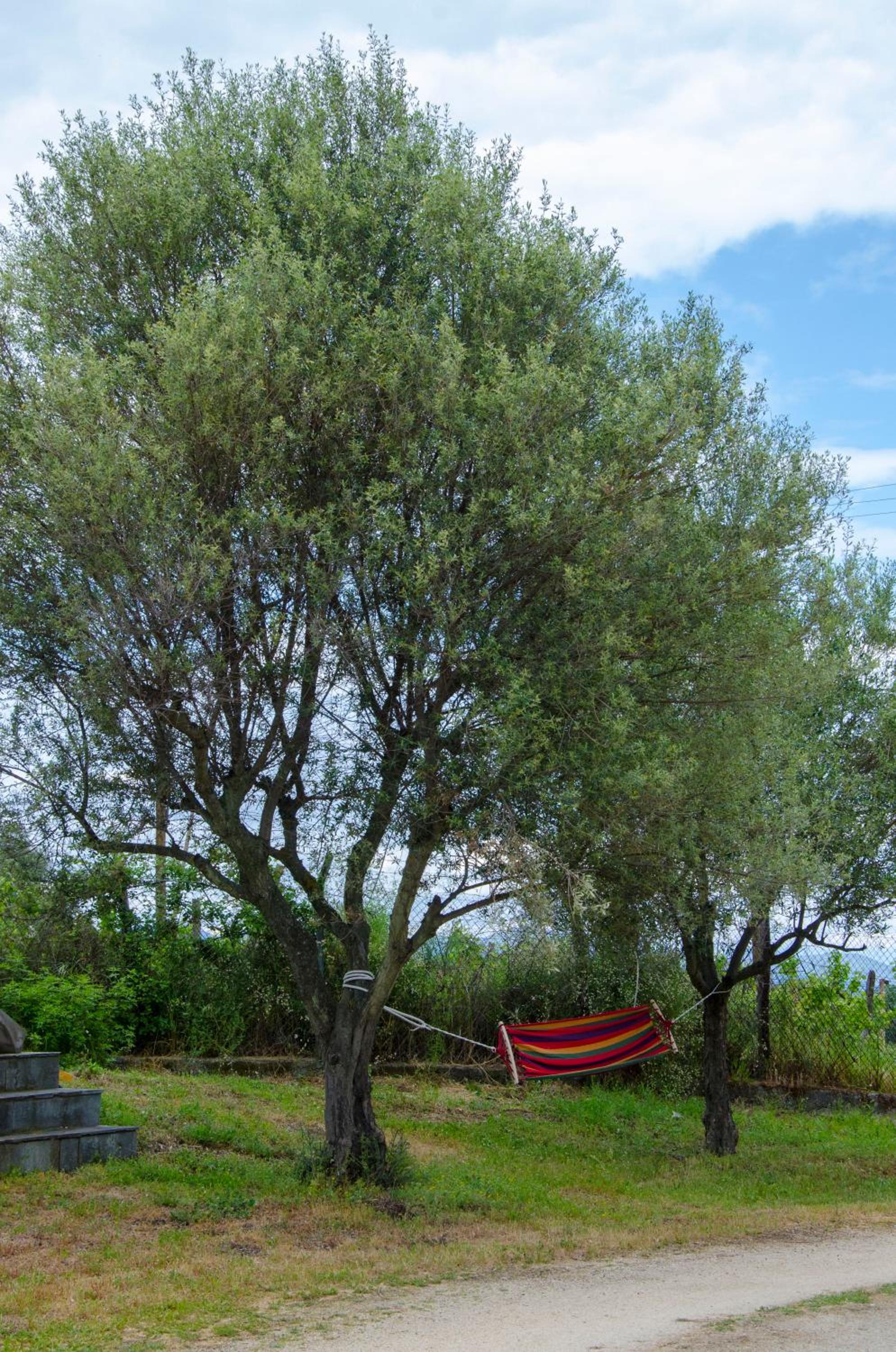 Villa Natura