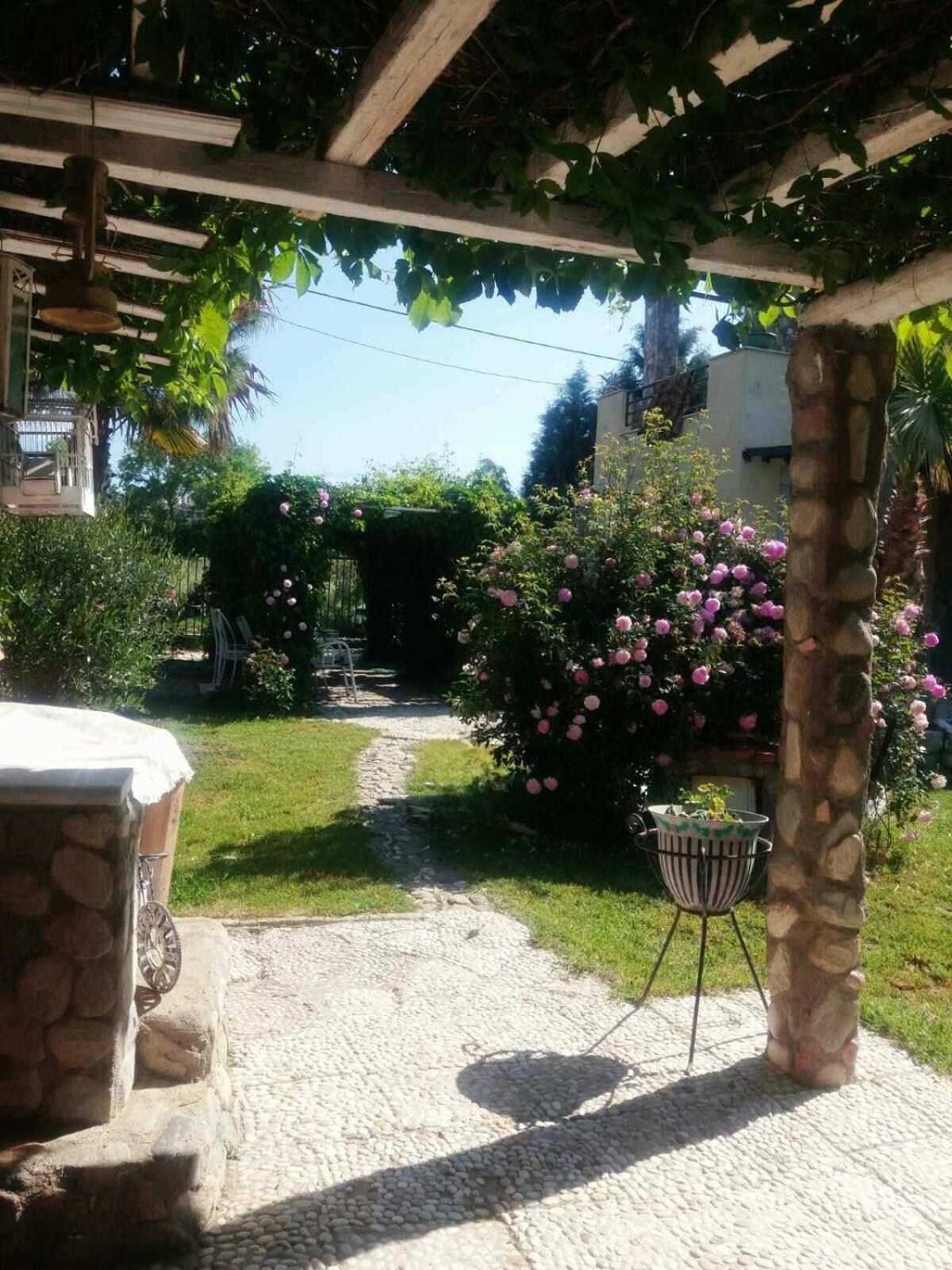 Photo 23
