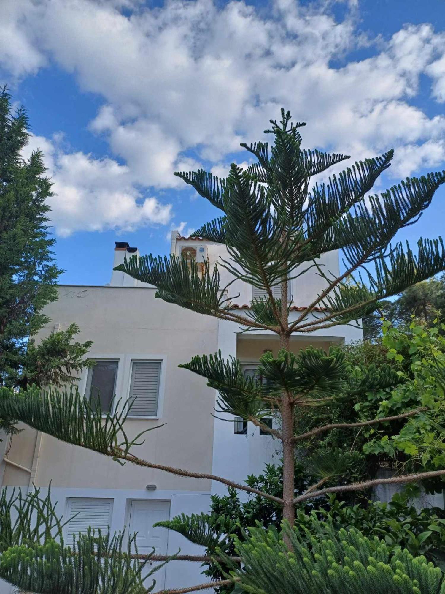 Anatoli apartment