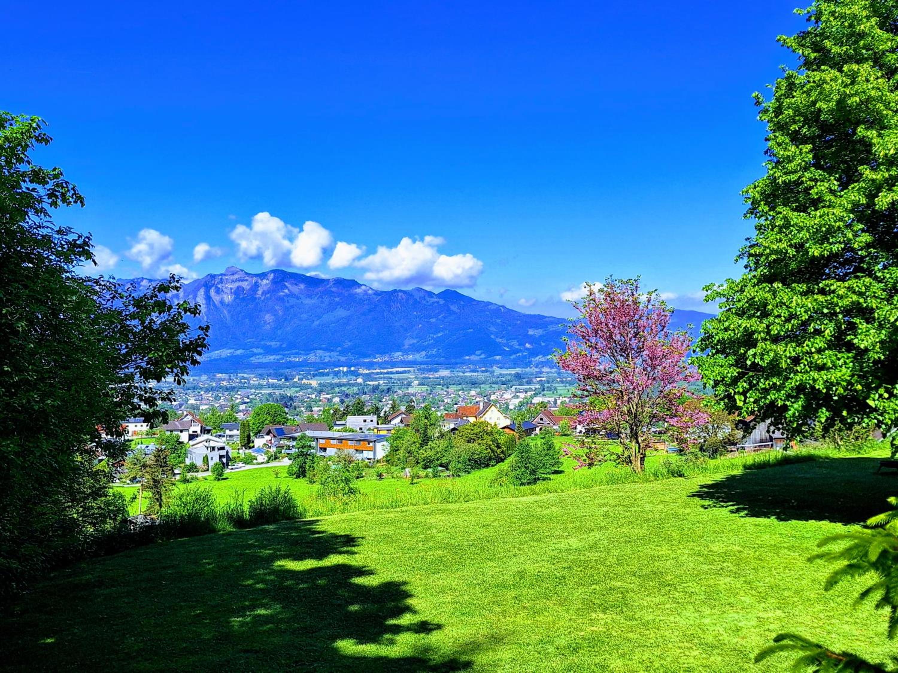 Wohnung Rheintal im Alpenvorland