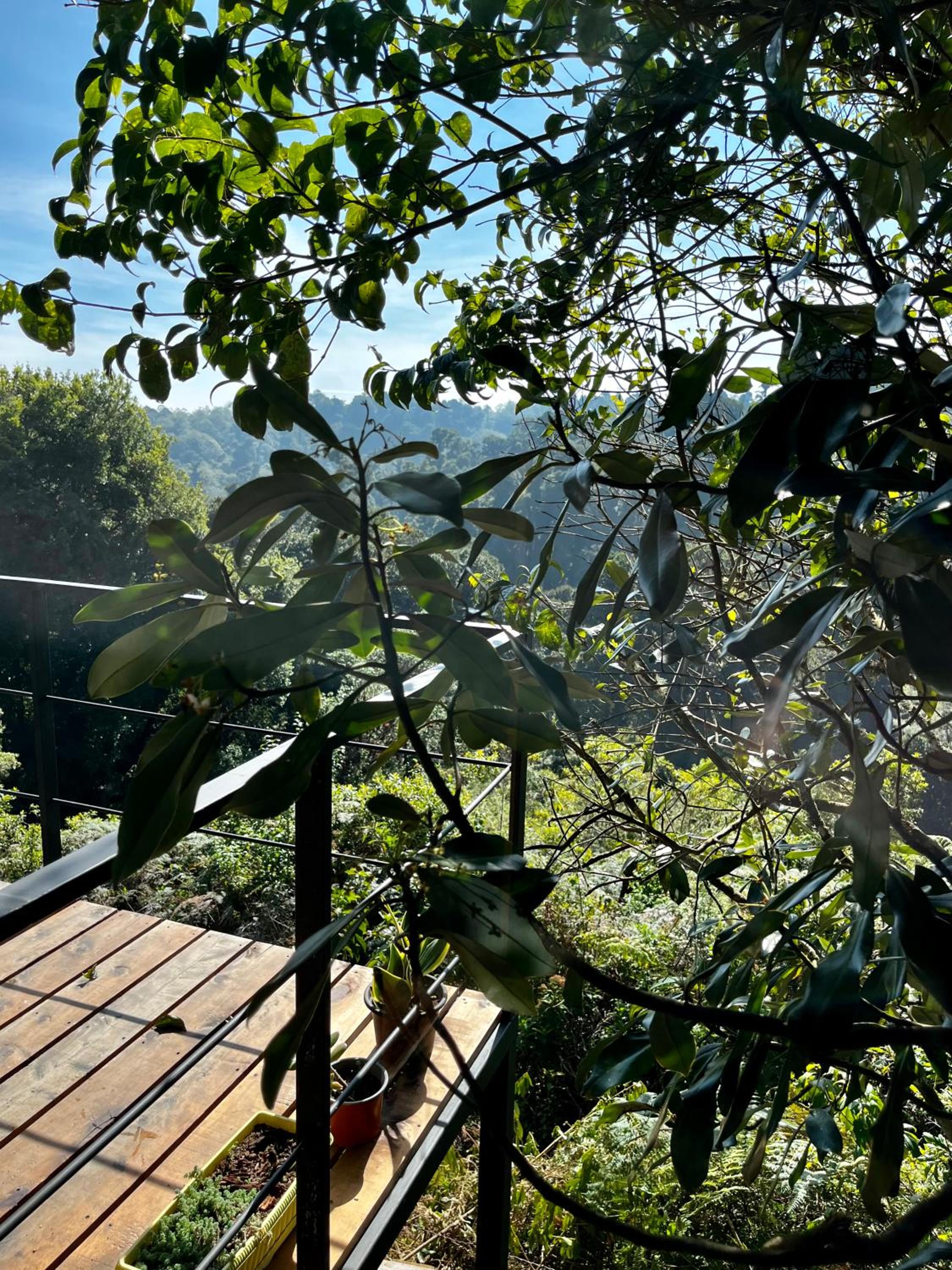 Casa Lulú