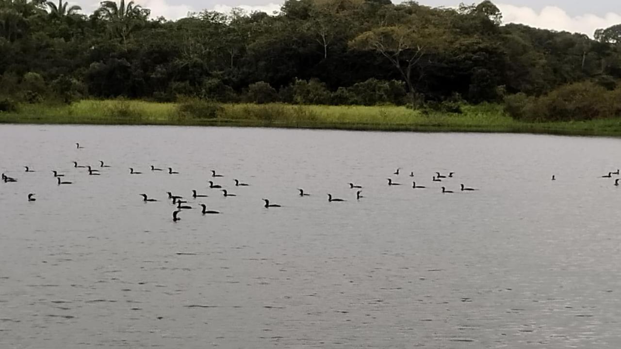 Amazon Boto Lodge Hotel