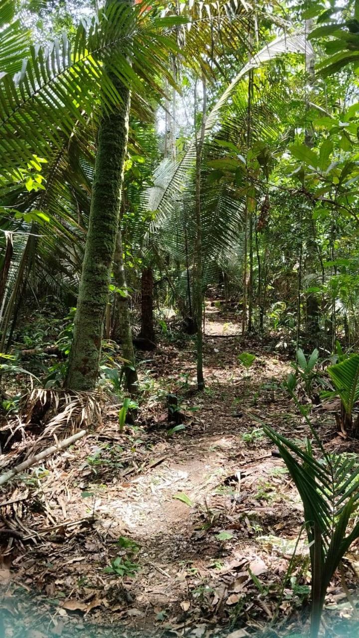 Amazon Boto Lodge Hotel