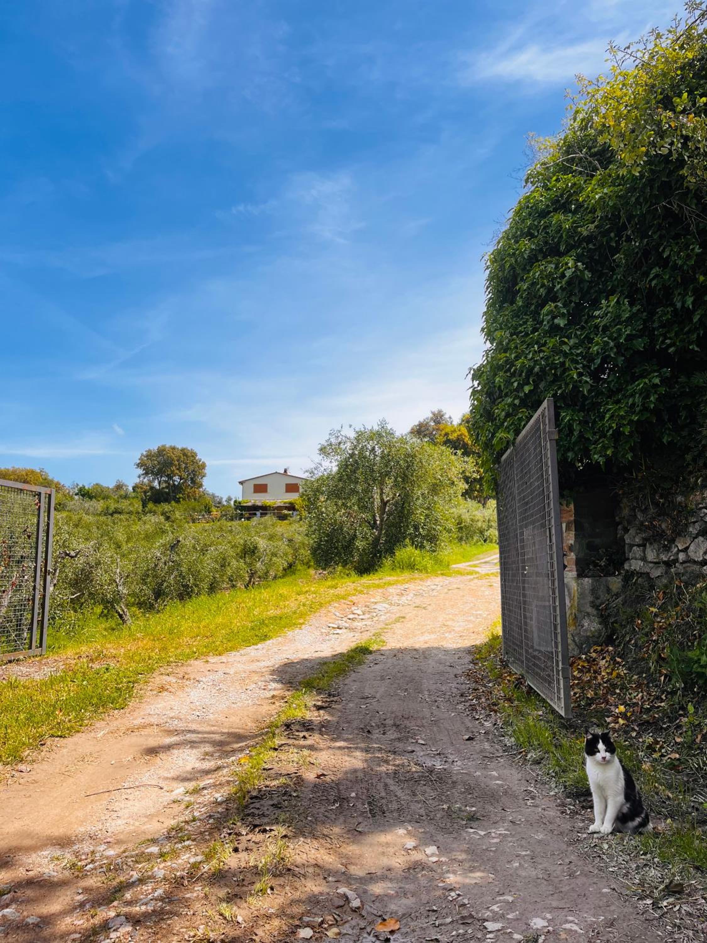 Agriturismo Il Sorbo Appartamento Lavanda