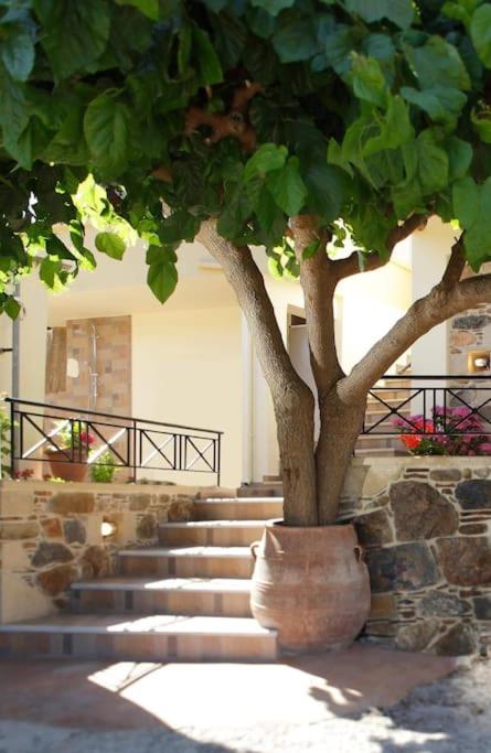 VALENA COZY MAISONETTE (15 min-ELAFONISI BEACH)