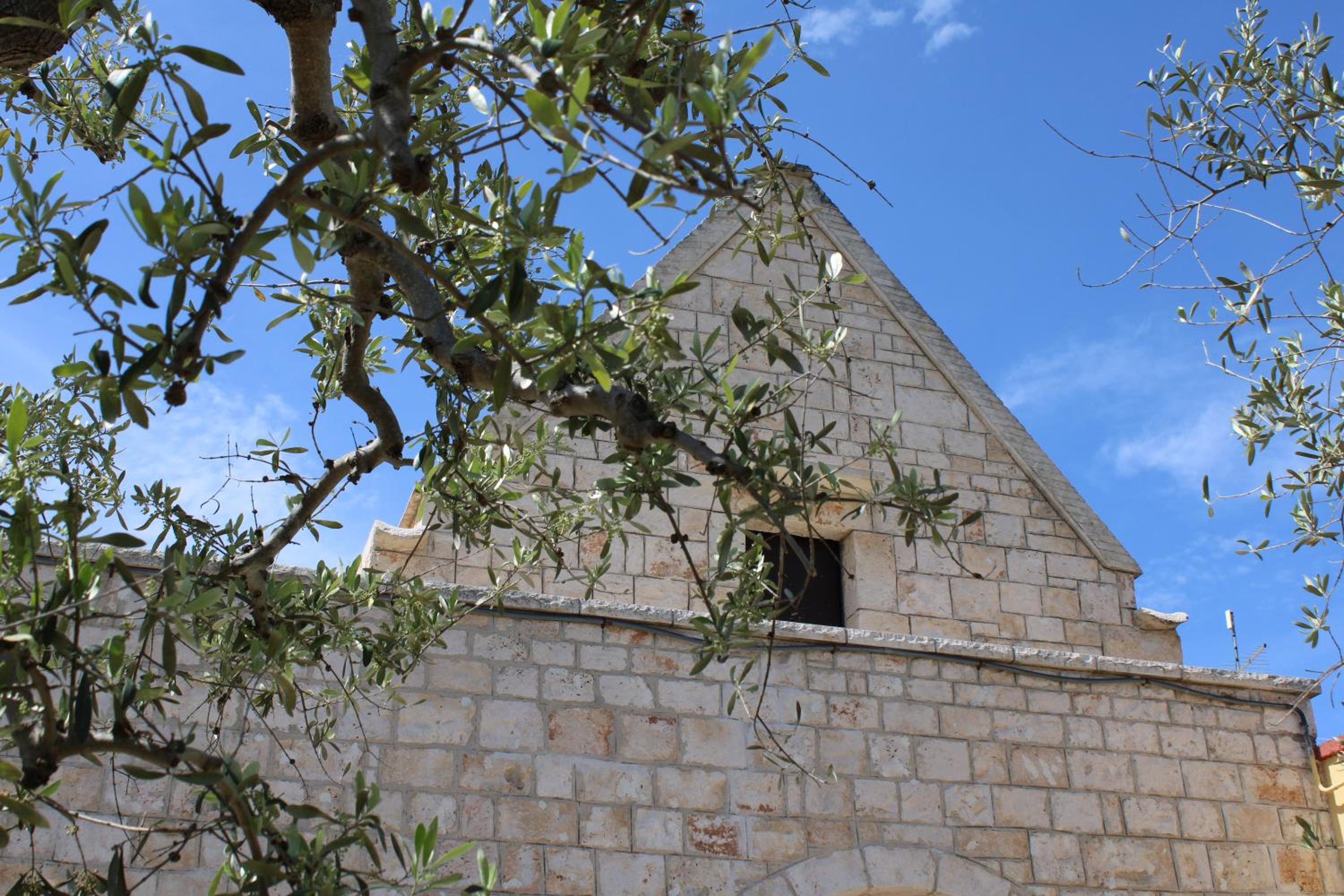 La Cummersa all'ombra dell'Ulivo