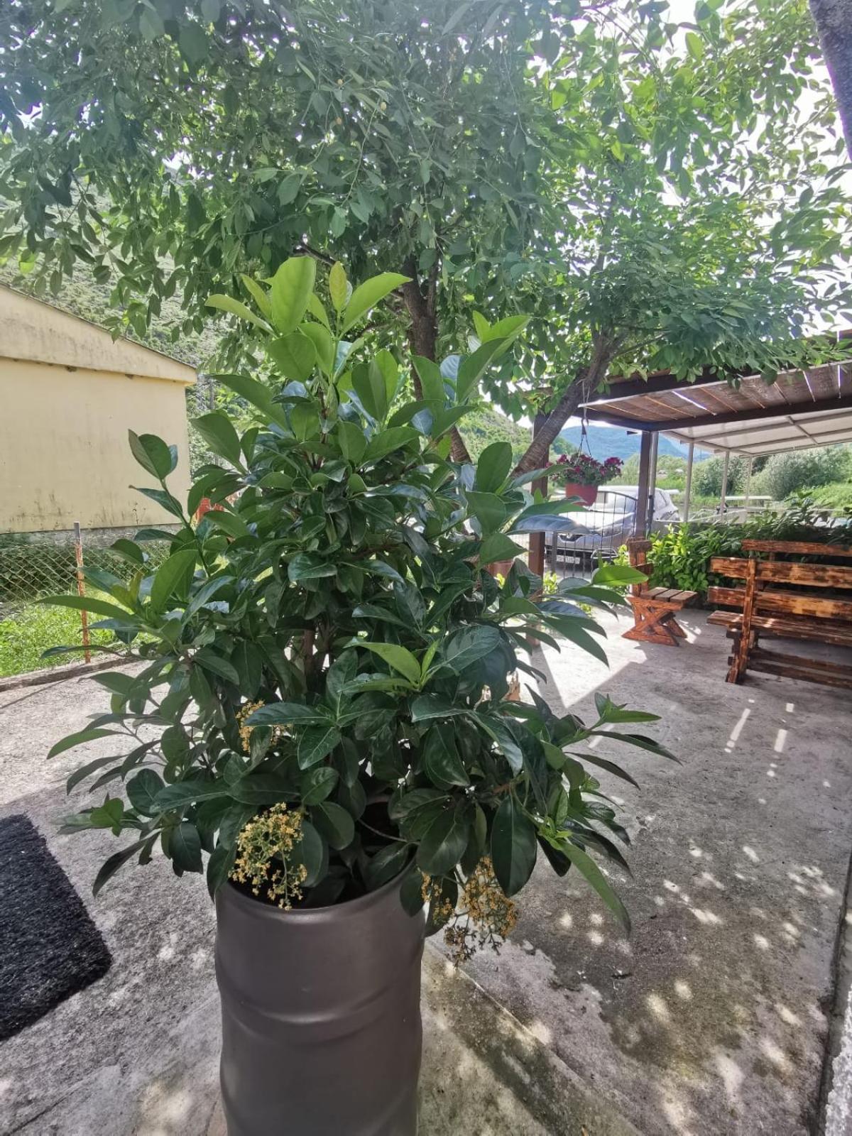 Photo 21