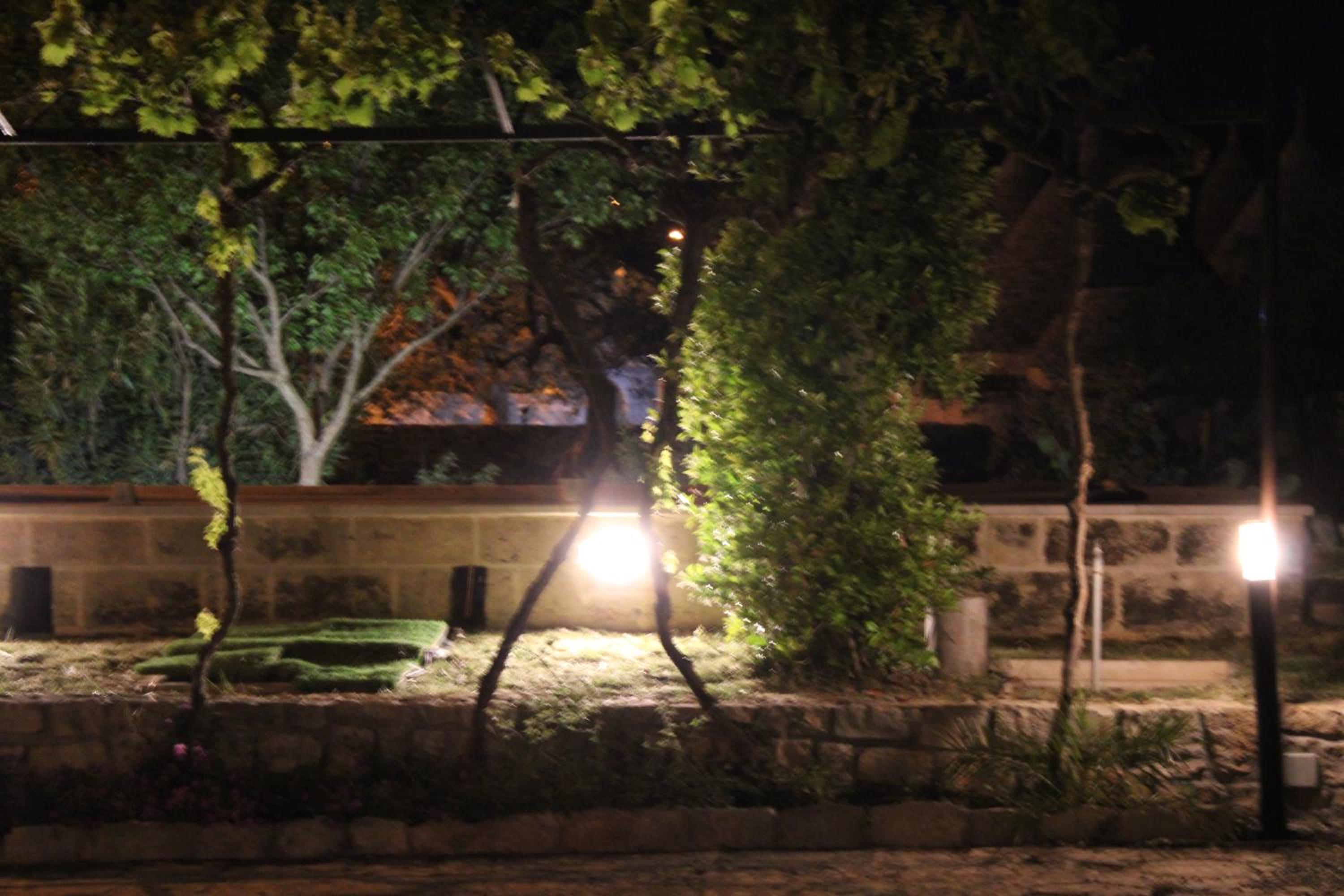 La Cummersa all'ombra dell'Ulivo
