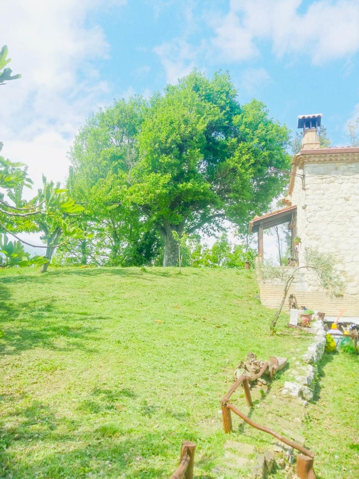 Appartamento in casale rustico - La Masseria view 4