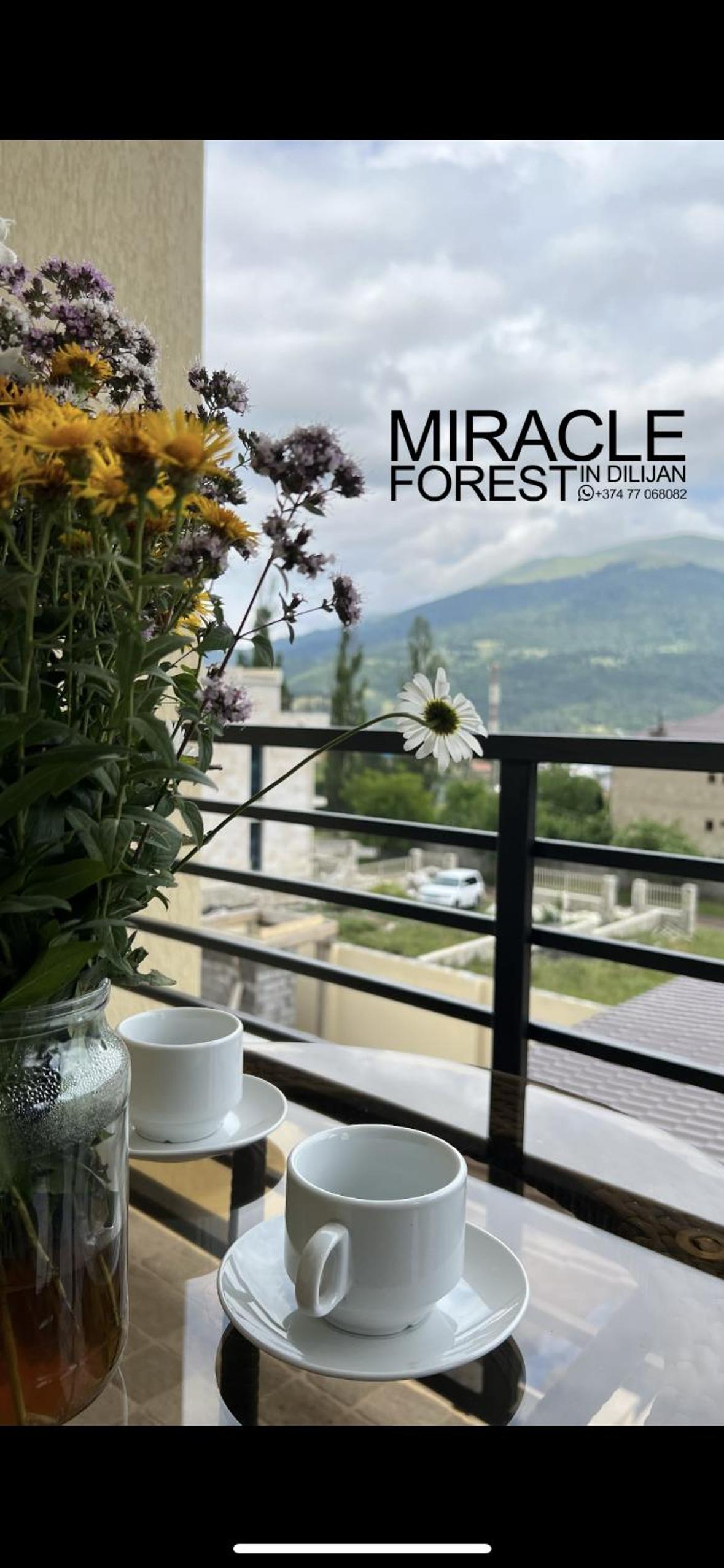Miracle Forest in Dilijan