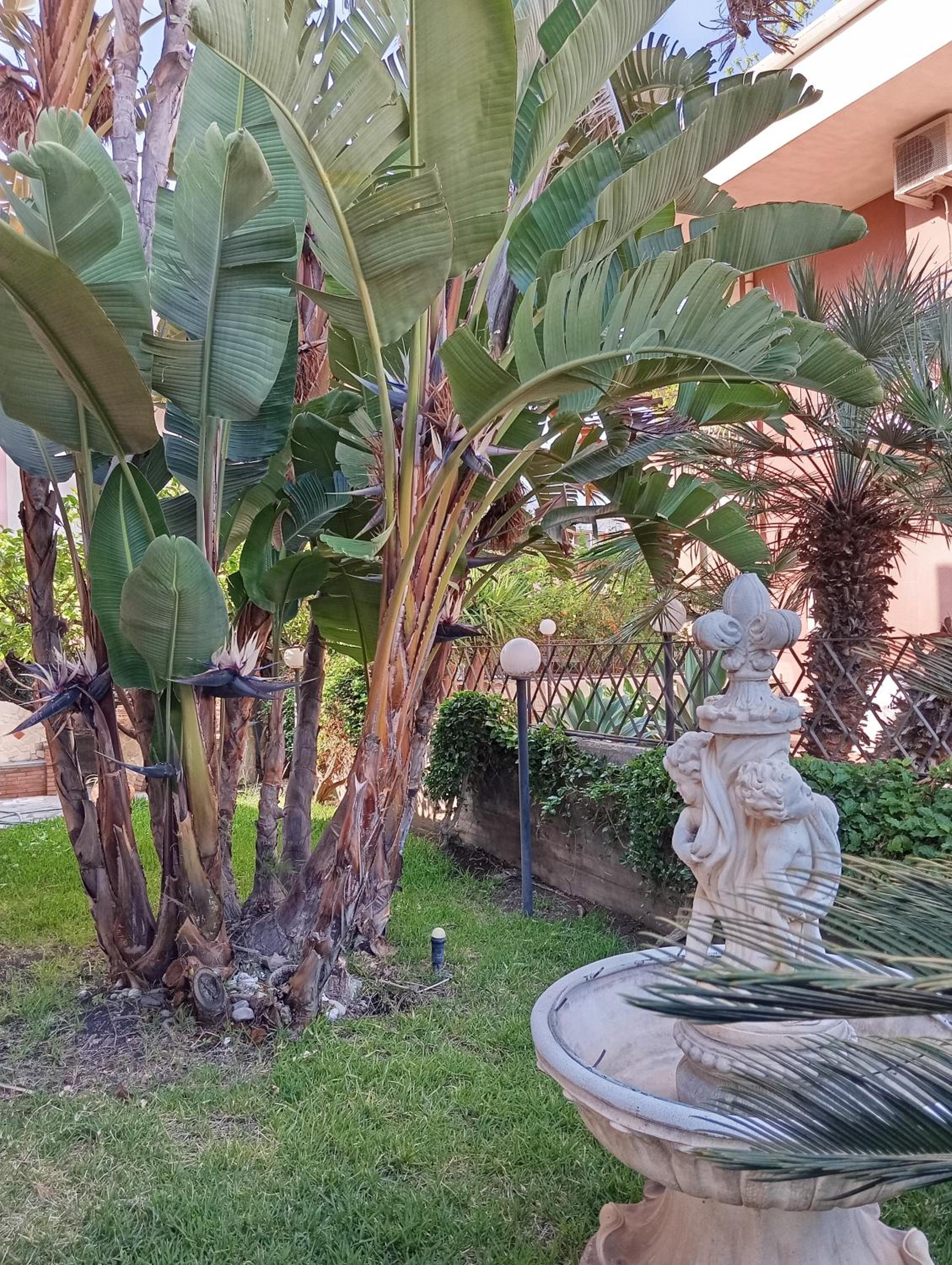 Villa Angelica