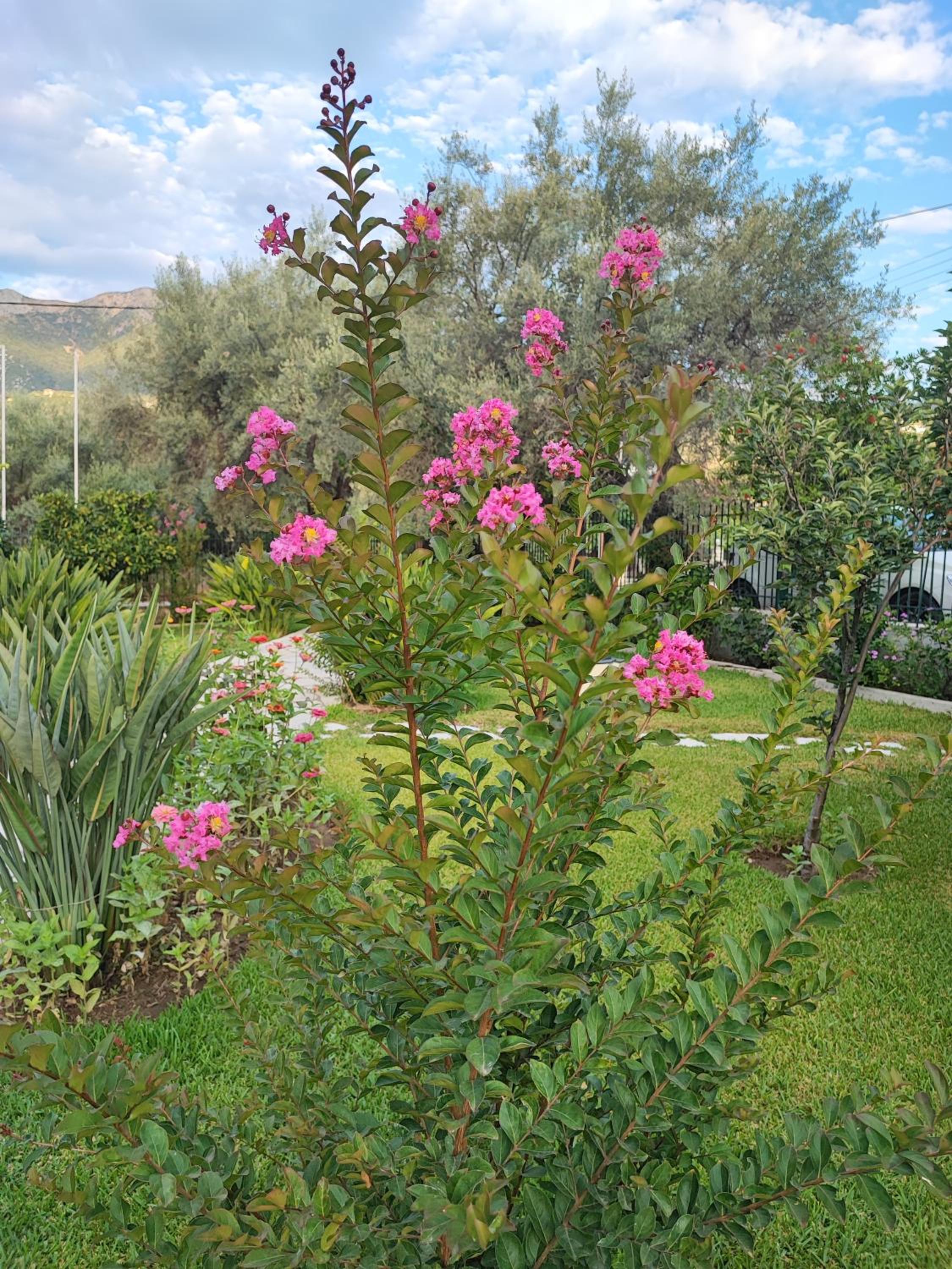 Niriton Residence Brand new Nydri Suites photo 5