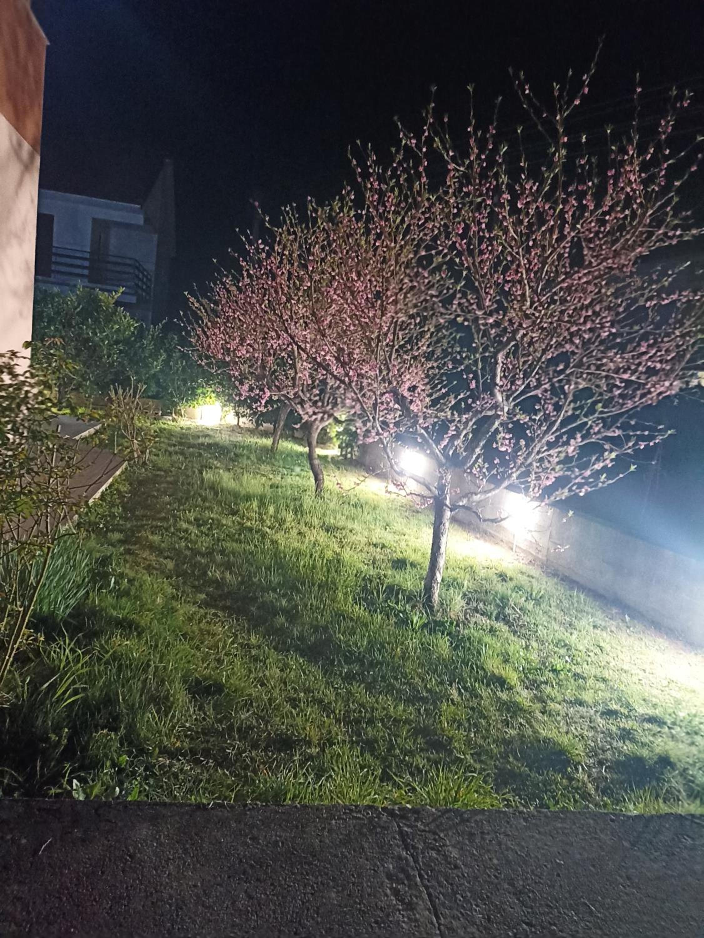 Apartmani Slađo