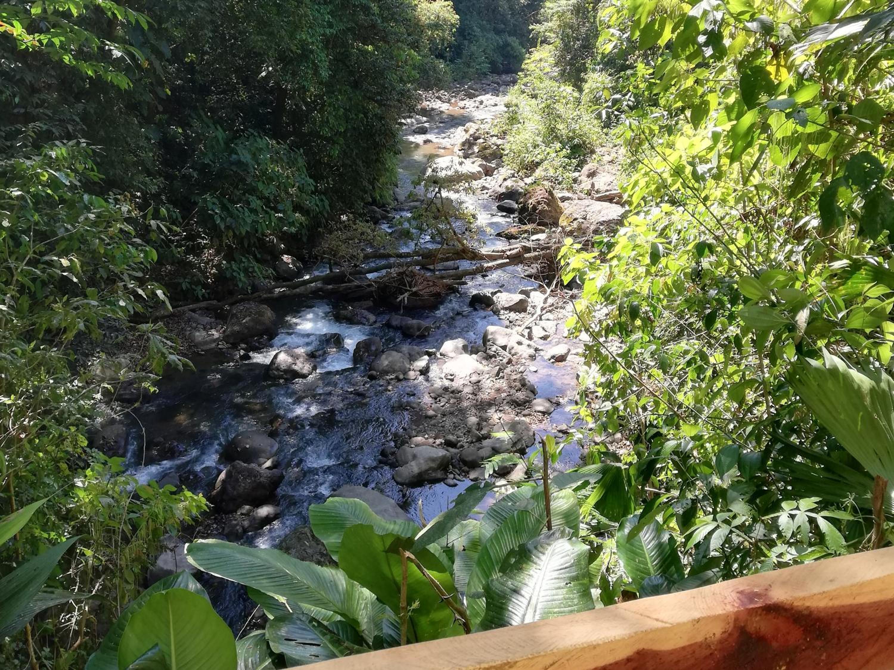 Hacienda Mil Bellezas - Private 40ha Jungle Reserve