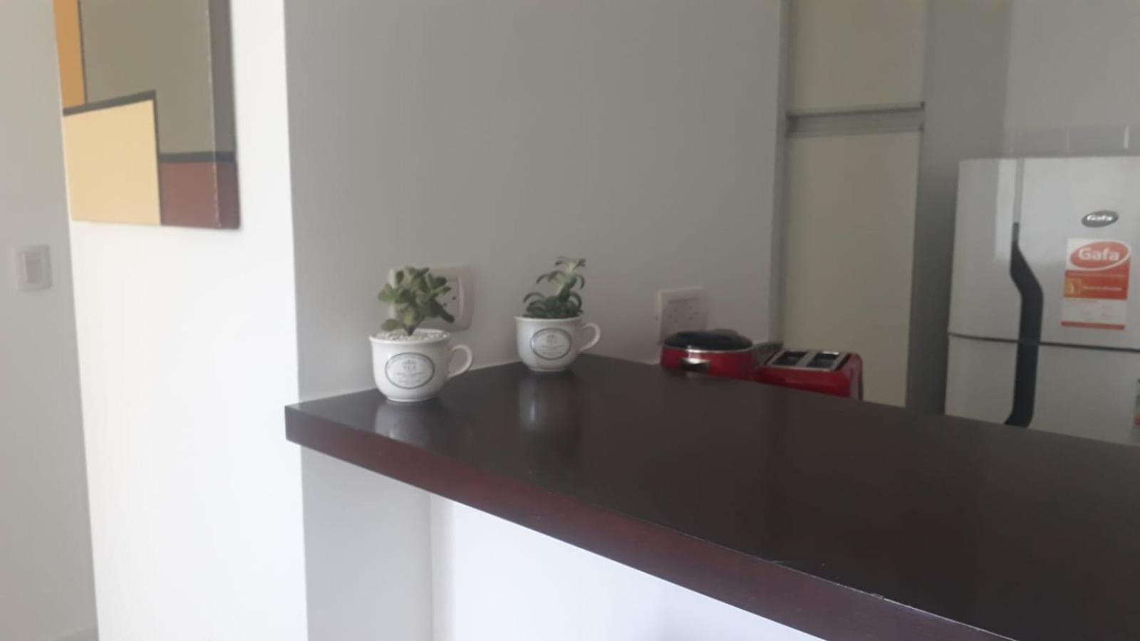 Tigre Studio Apartment