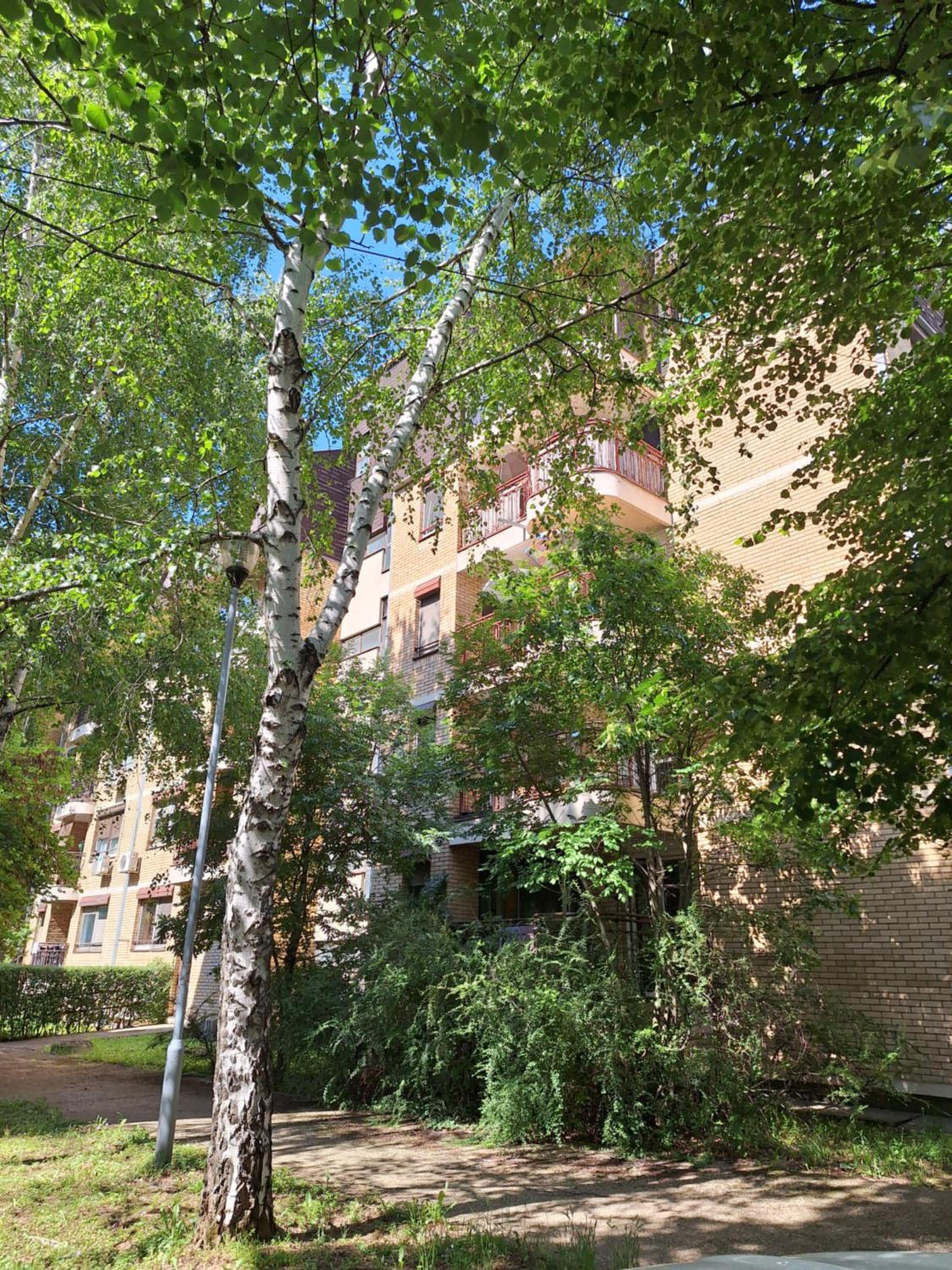 RIVIJERA GREEN